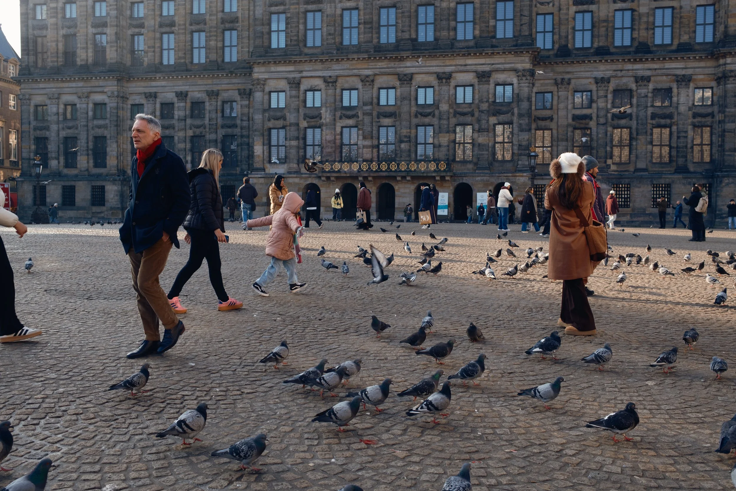 amsterdam_utrecht-37.jpg