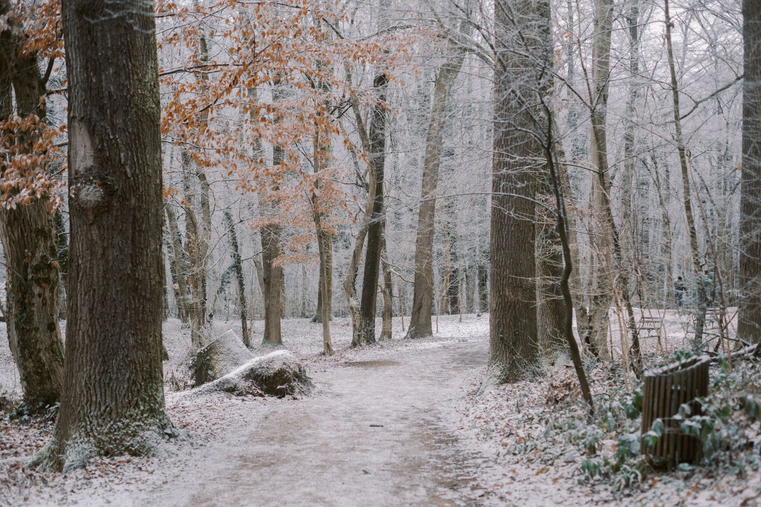 Maksimir-99.jpg