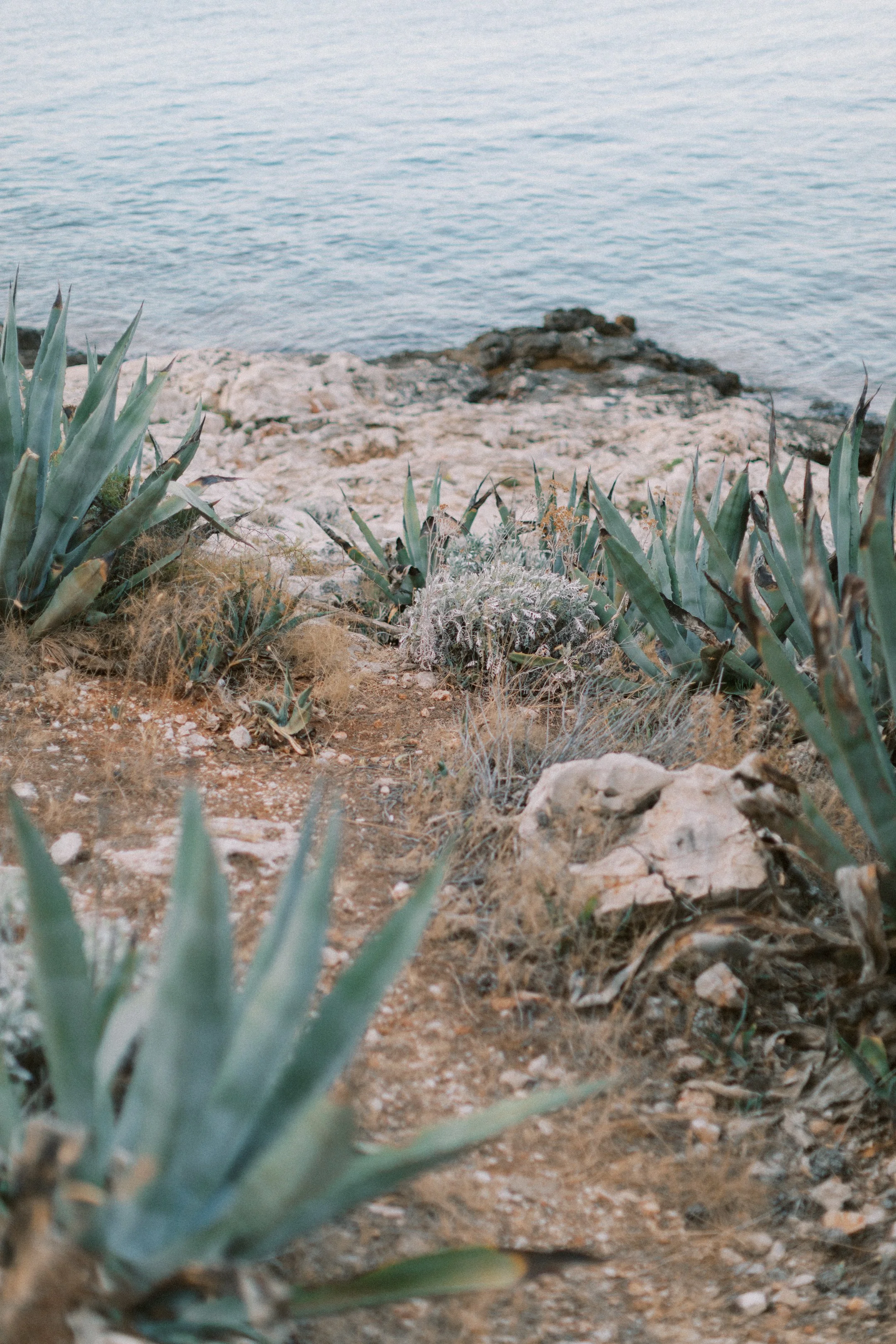 hvar_new-70.jpg