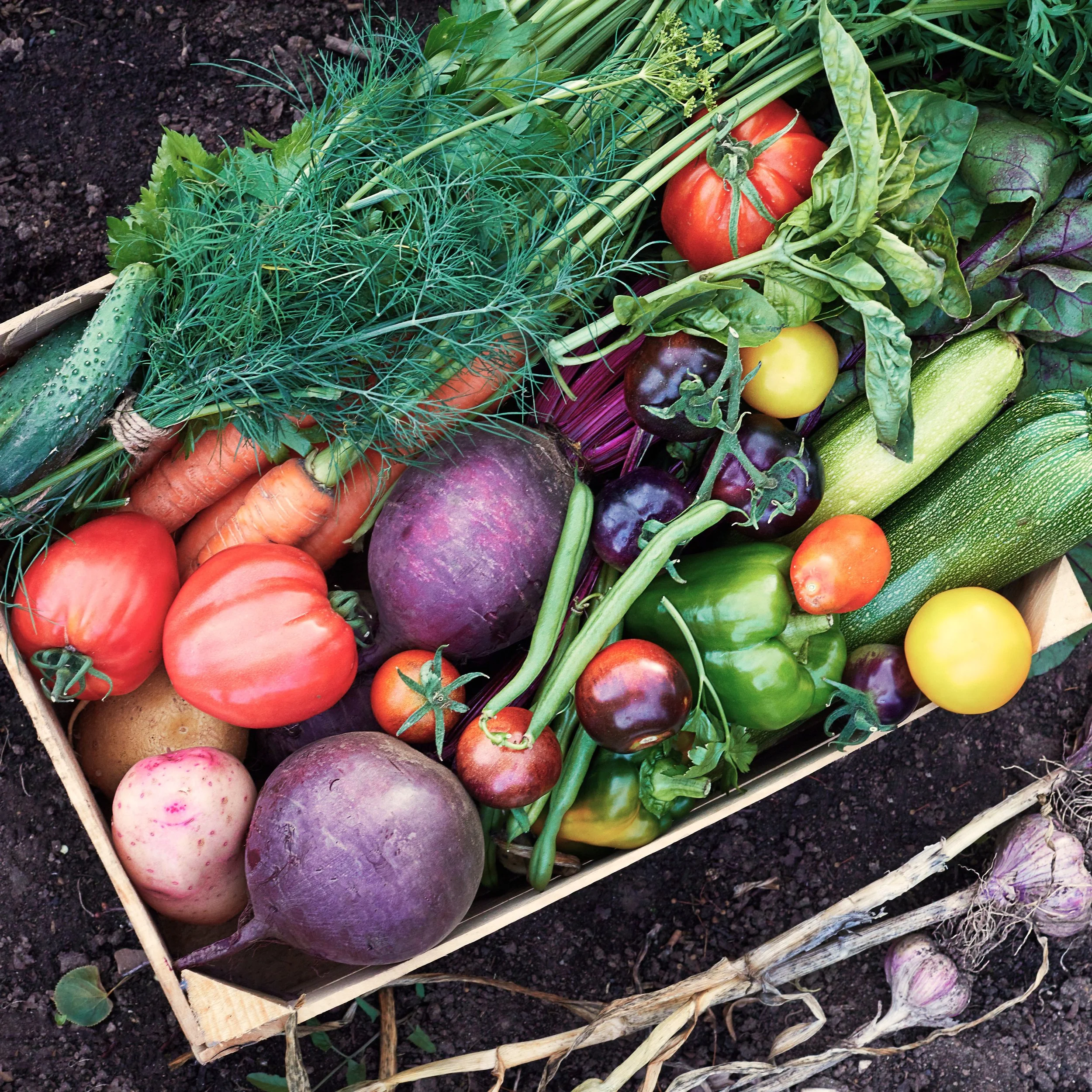 Vegetable Grab Bag.jpg