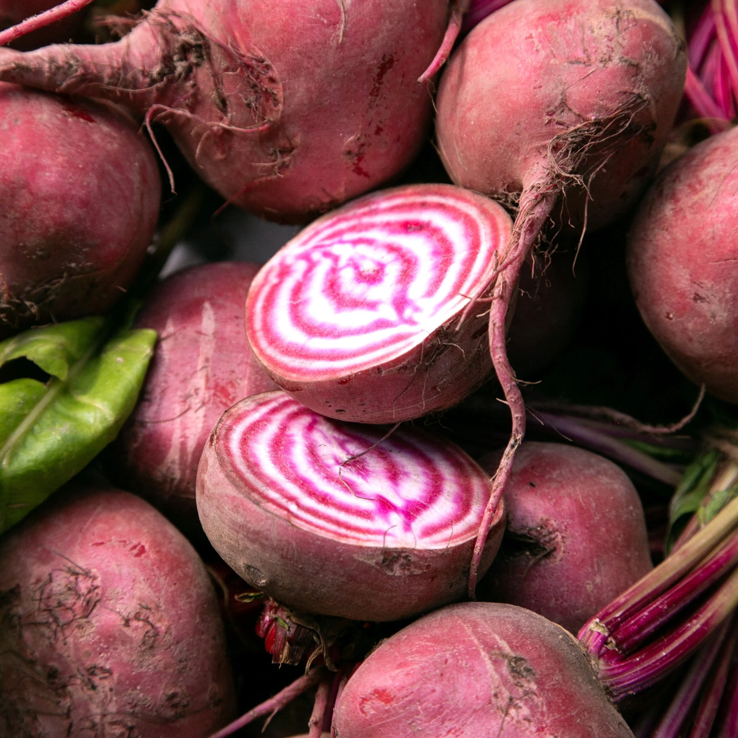 Chioggia Beets.jpg