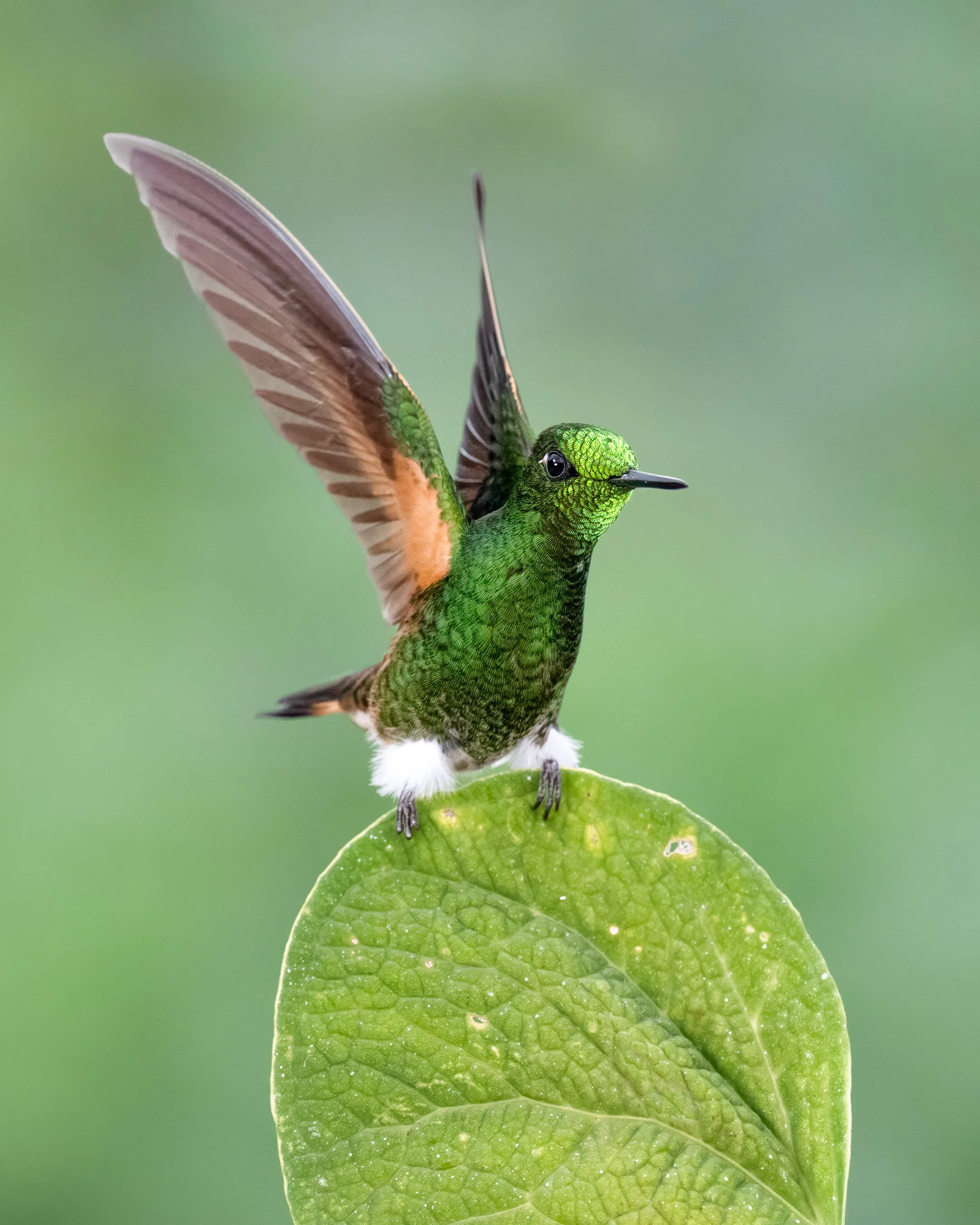 Z91_9192-Edit-Edit-2-Edit.jpg