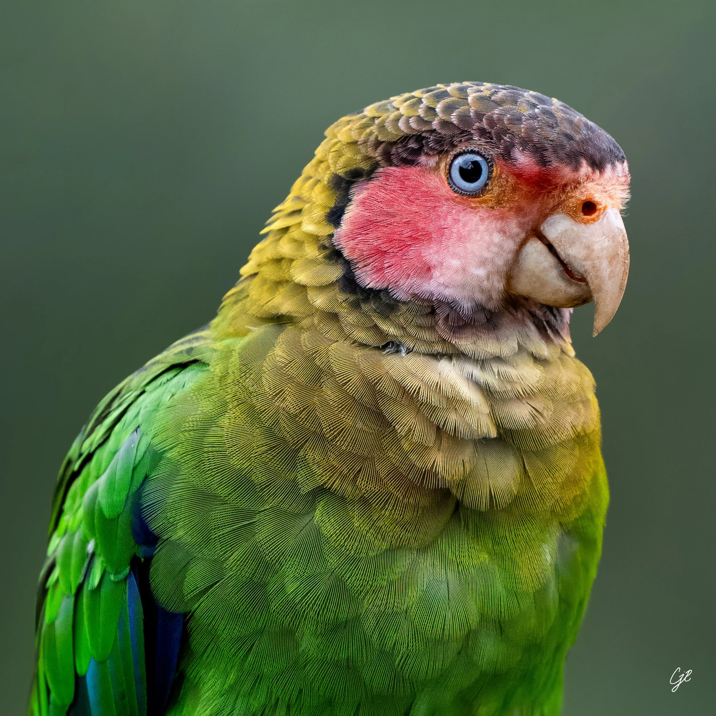 Z91_0236 2-Edit-2-Edit-Edit-Edit-2-2.jpg