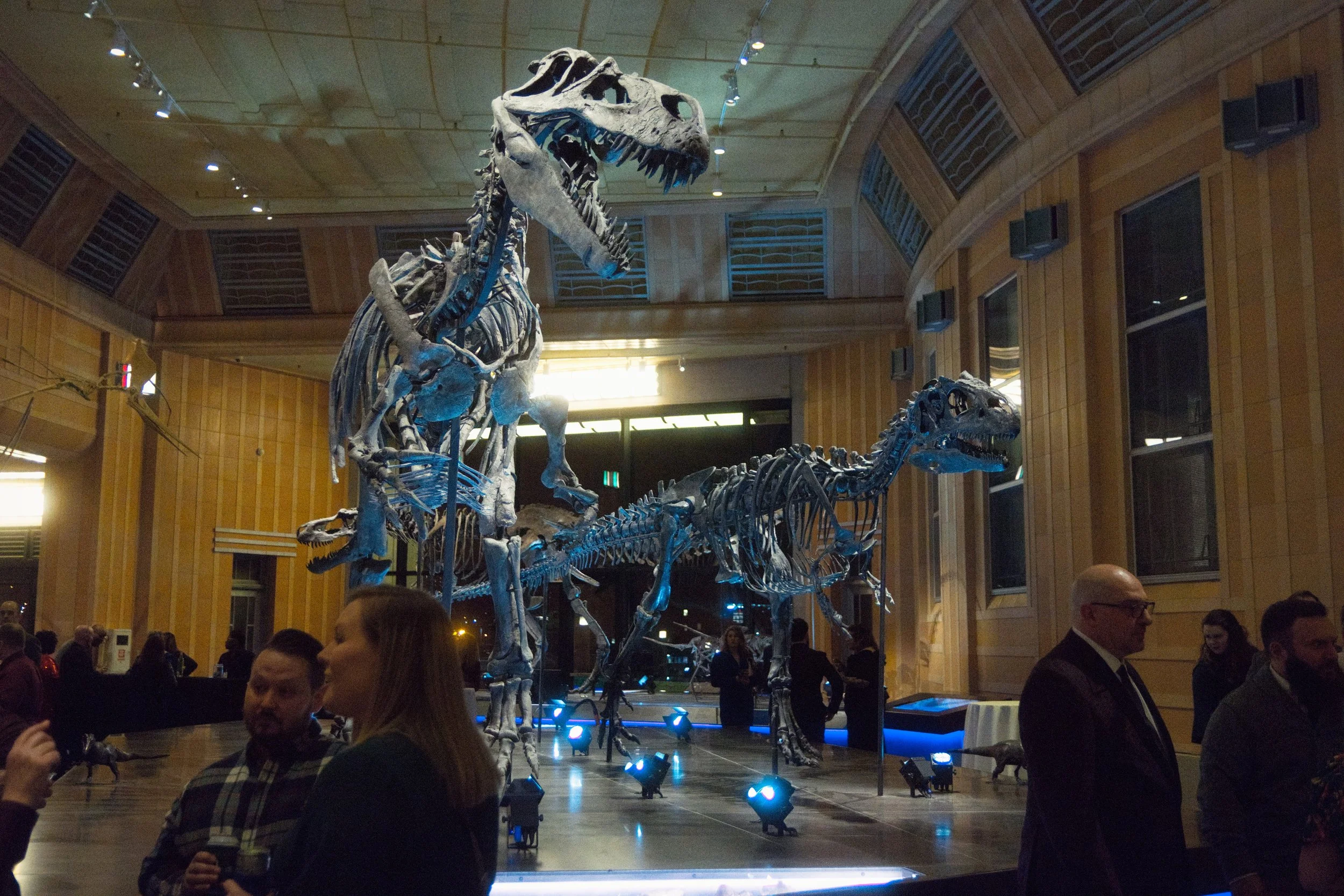 Professional photographers capture corporate party in a beautiful museum setting with dynamic lighting.