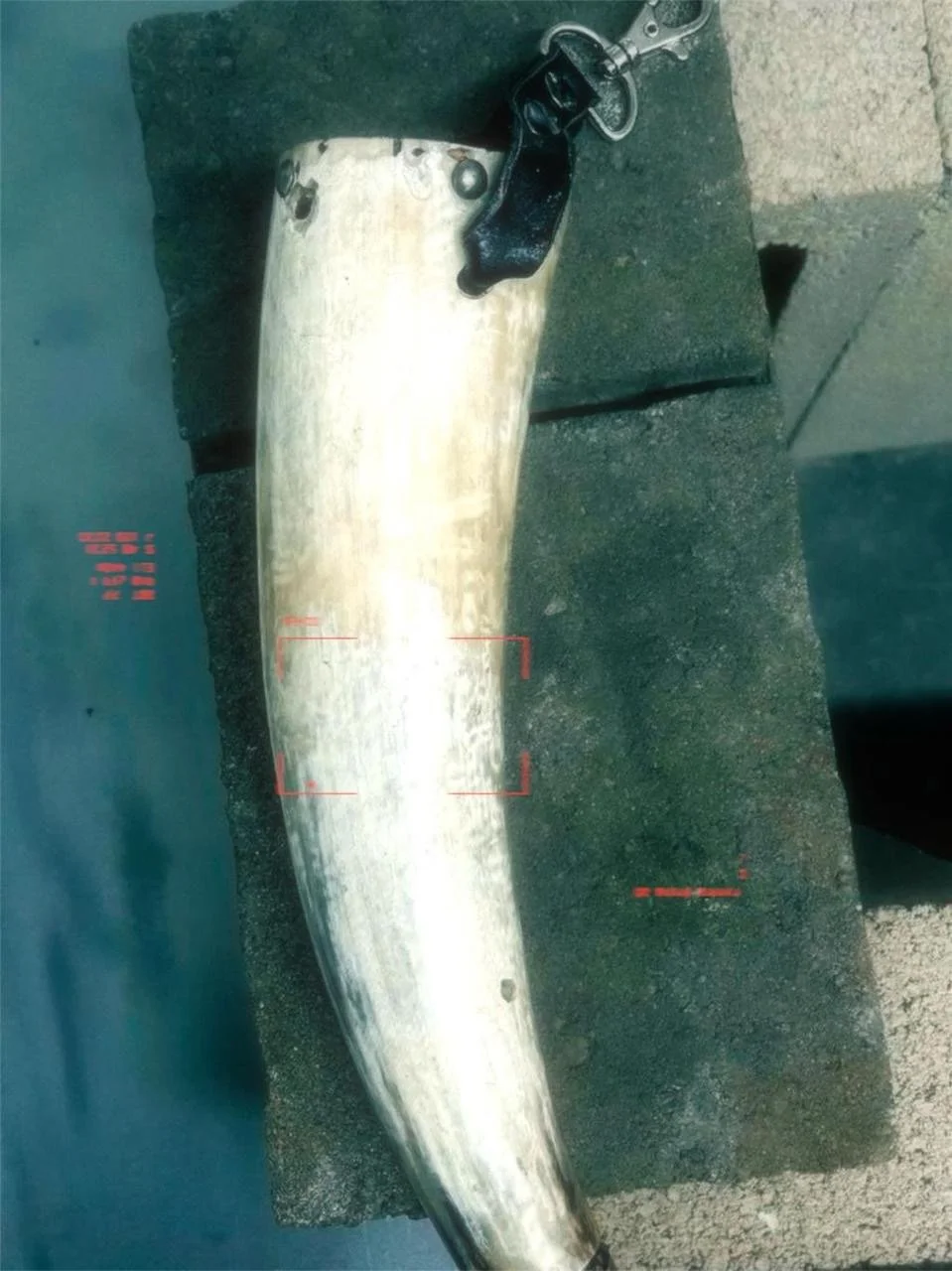 𝄃𝄃𝄂𝄂𝄀𝄁𝄃𝄂𝄂𝄃