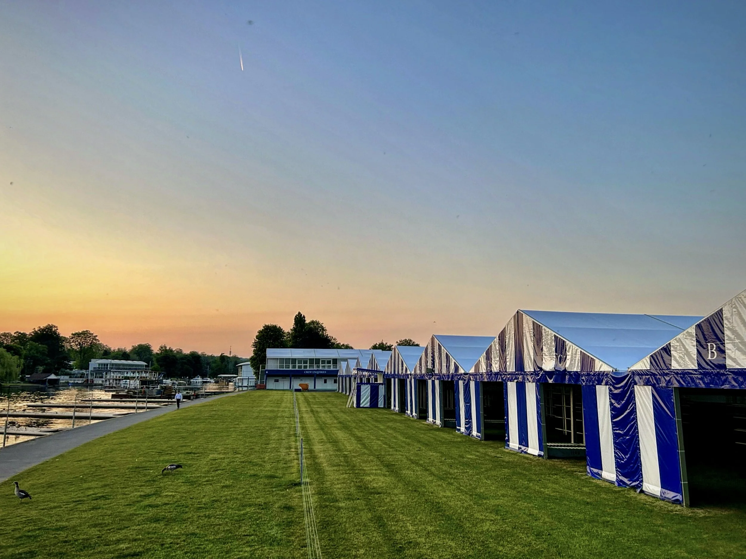 Alumni Represenation at Henley Royal Regatta