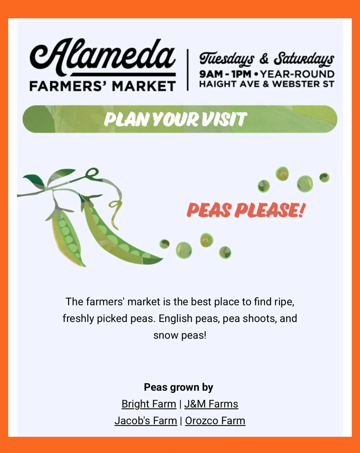 Come get your seasonal favorites at the Alameda Farmers&rsquo; Market. 

Tuesdays &amp; Saturdays
9:00am to 1:00pm 

706 Haight Avenue
Alameda, California 

 Subscribe to the @alamedafarmersmarket newsletter to meet the farmers, find out what&rsquo;s