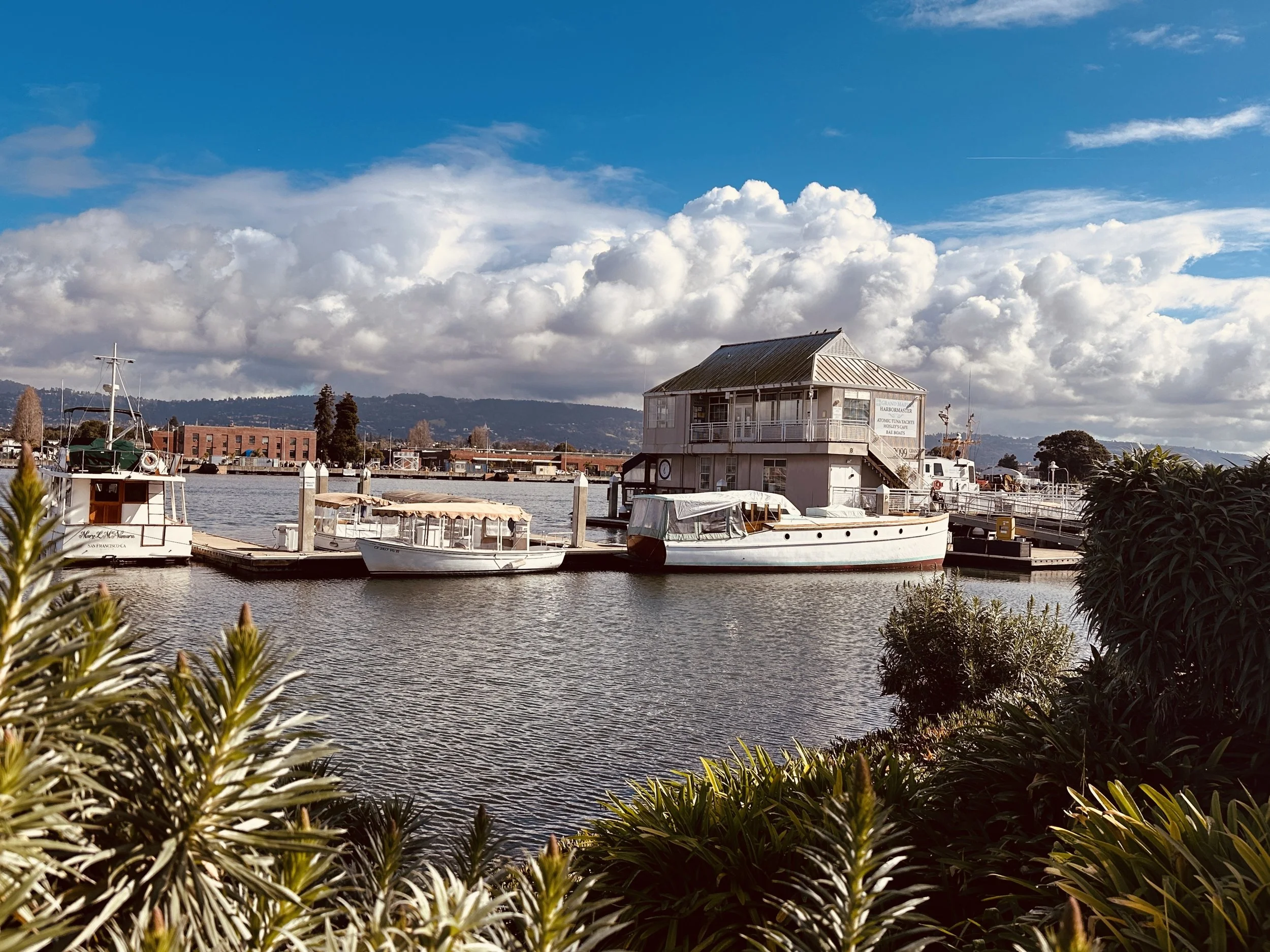A storefront with a blue awning, large glass windows, tiled steps, and a person walking by on the sidewalk. The building has signs and banners hanging in front, including one with an image of a woman's face.