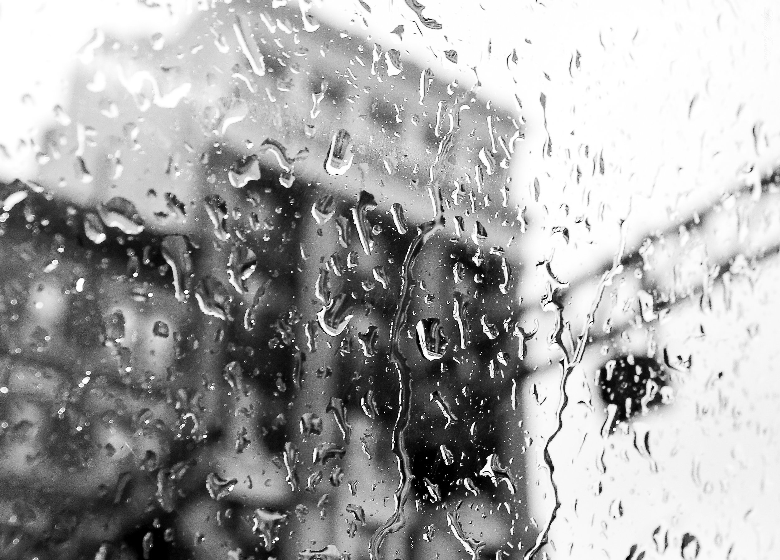 buildings_in_the_rain copy.jpg