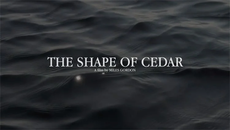 The Shape Of Cedar
