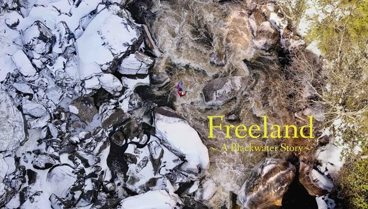 Freeland: A Blackwater Story