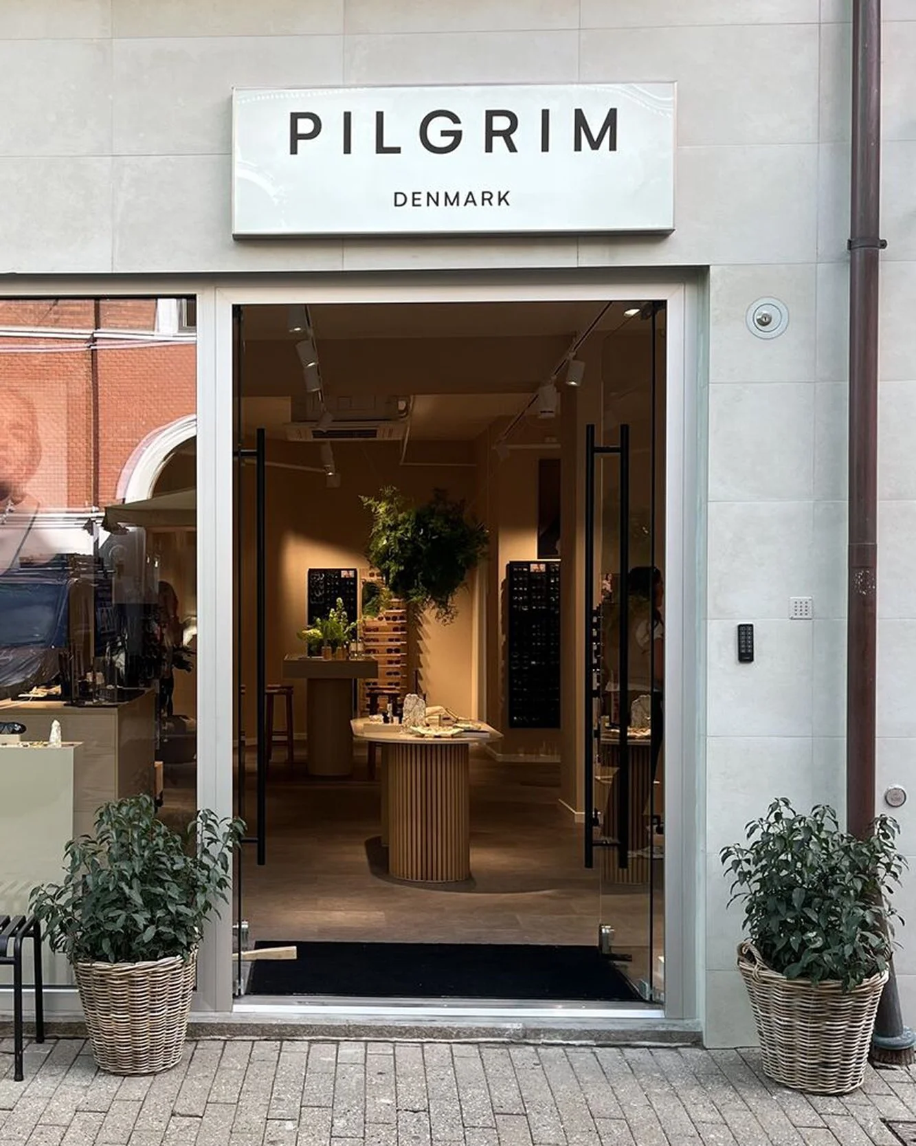 PILGRIMDNMK.jpeg