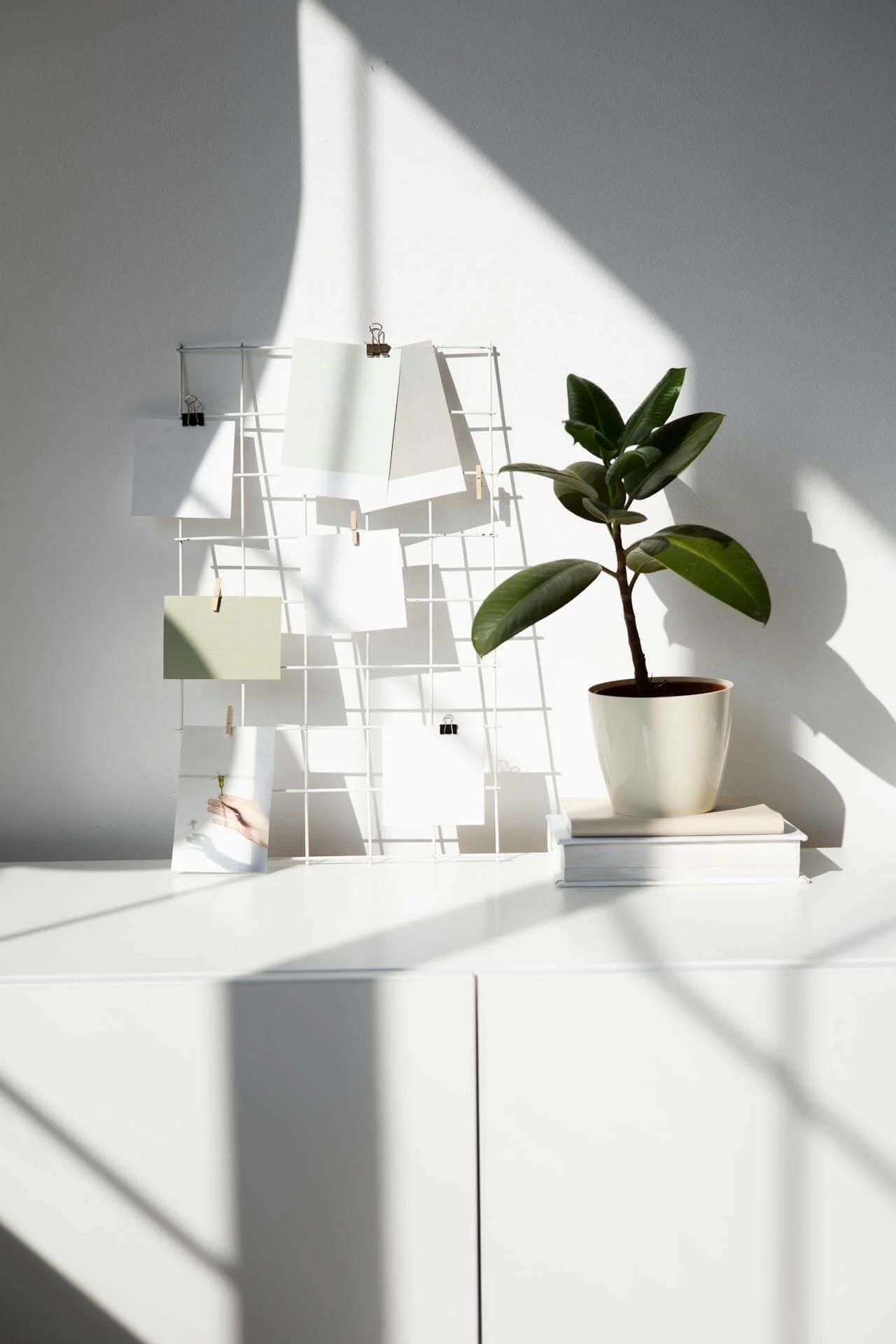 Minimalistische Dekorationsszene mit Moodboard, Zimmerpflanze und starkem Tageslichtschatten.
