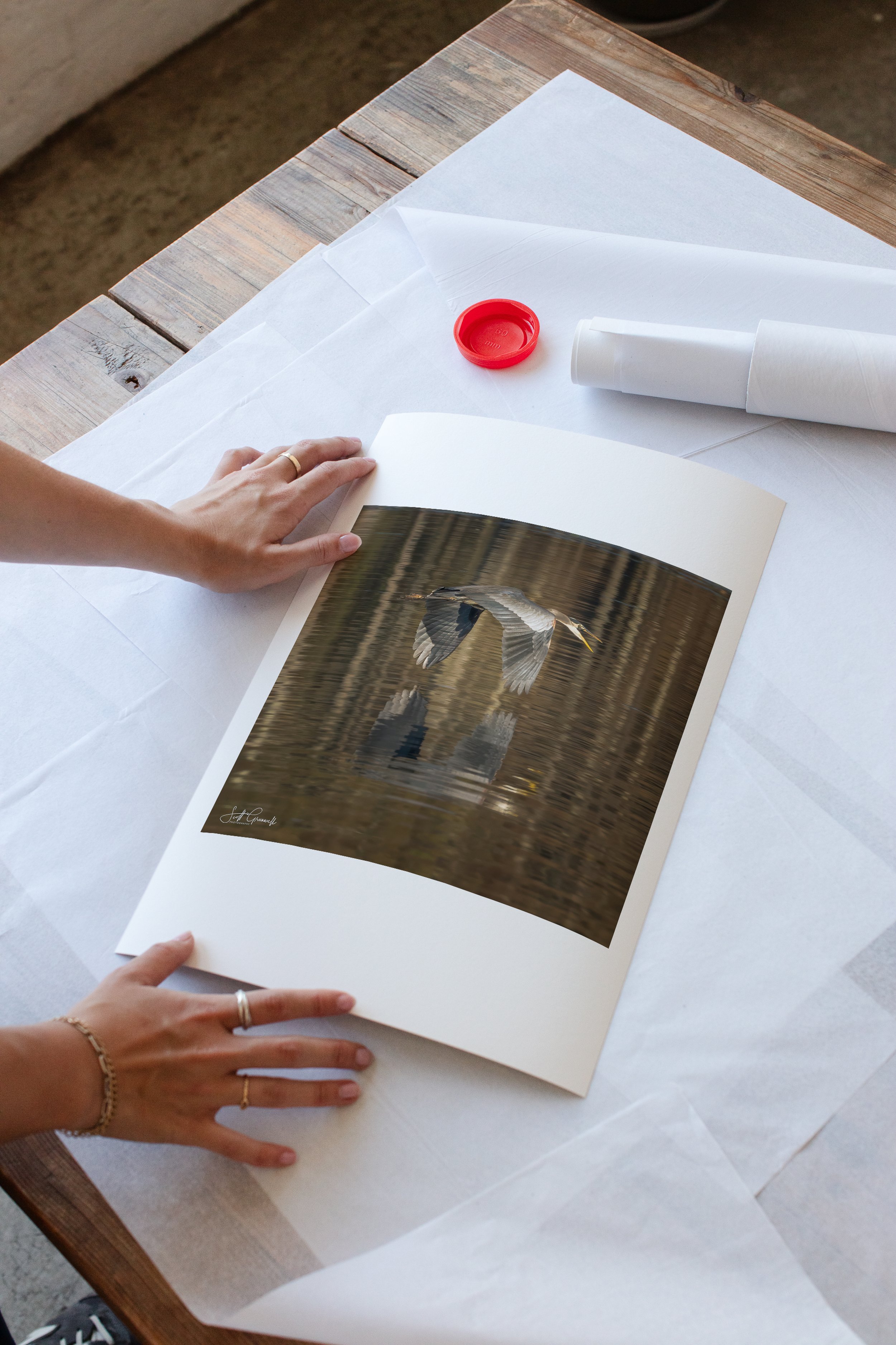 HH144 - The Unboxing Collection - 3x2 Paper Ratio-Light Among the Moss.jpg