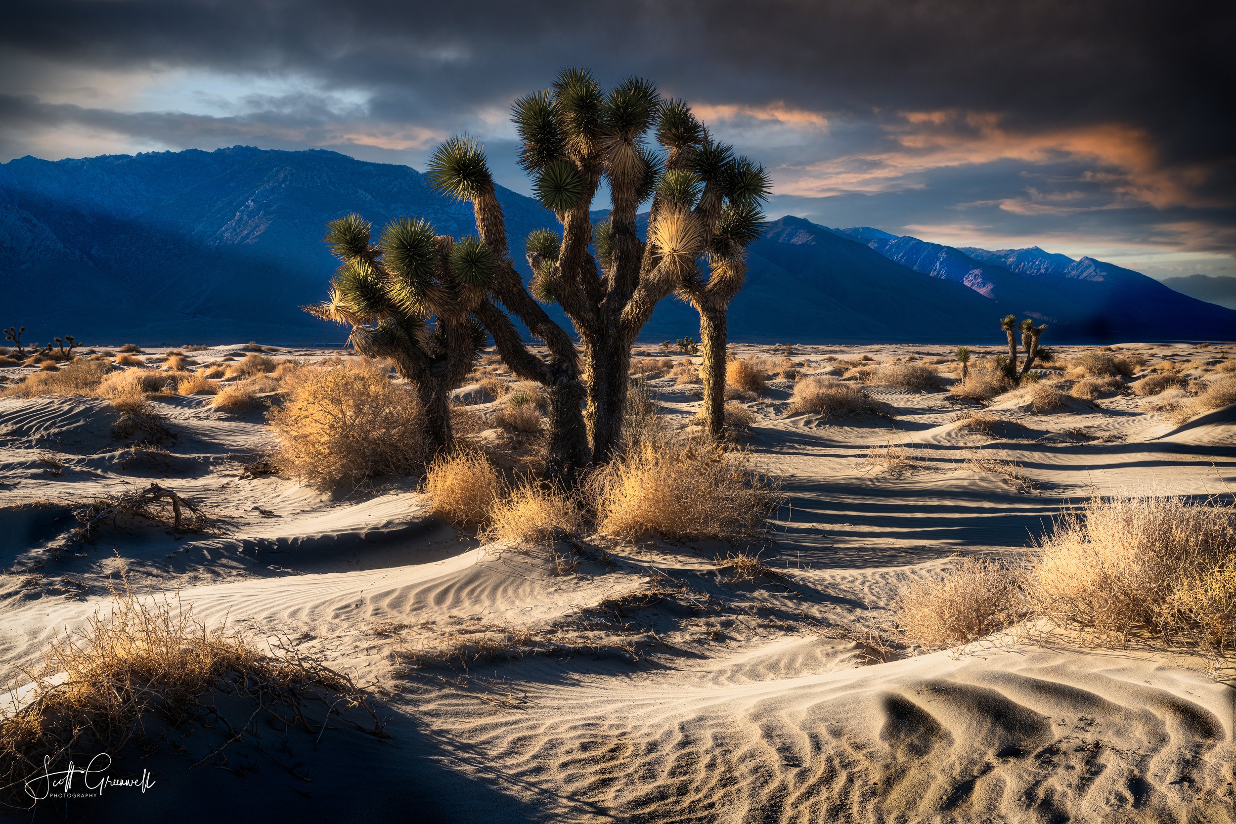 2021-02-28 19-34-02 Olancha Dunes 0064.jpg