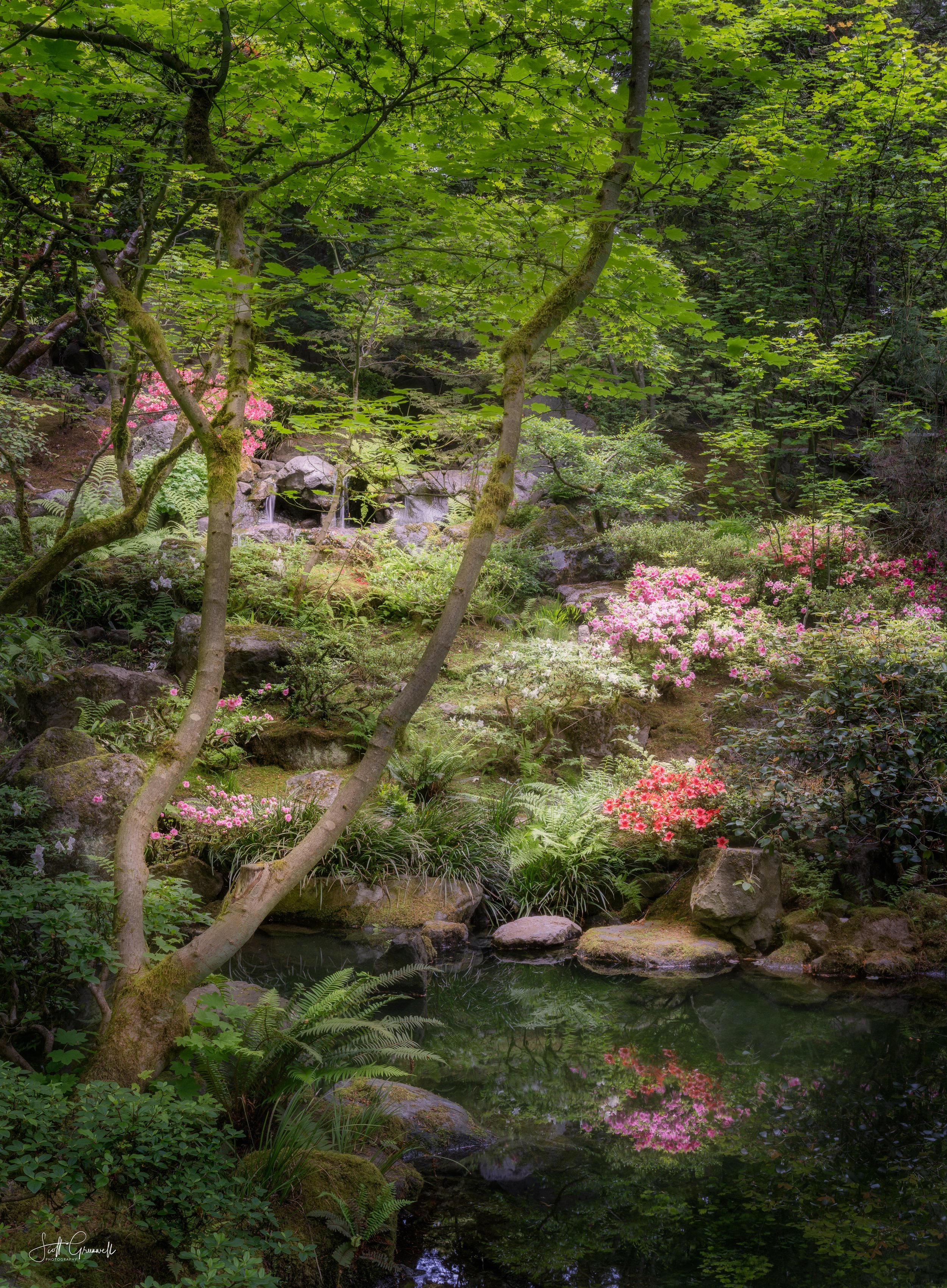 The Garden’s Whisper Portland Japanese Garden 0202 .jpg