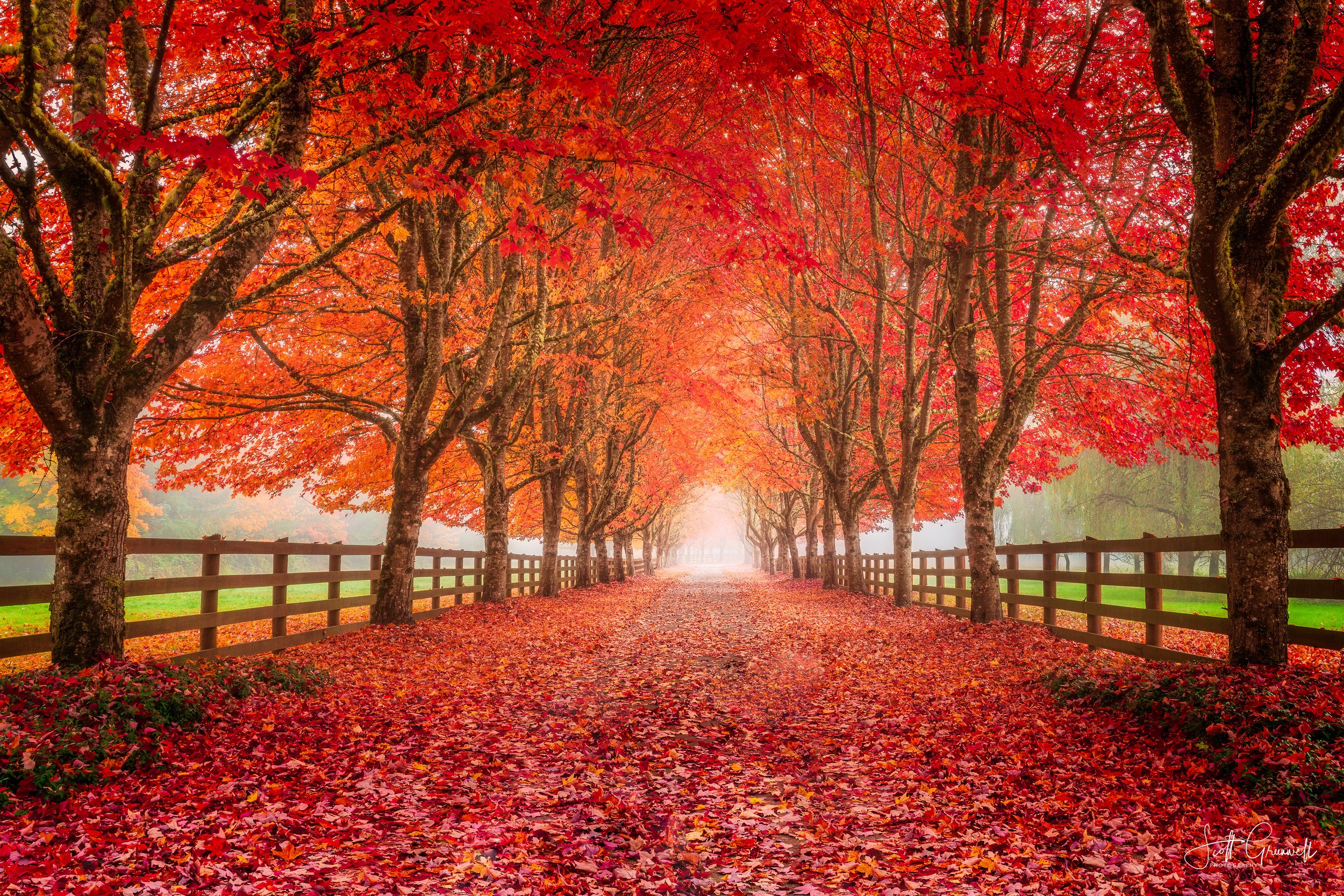 Washington