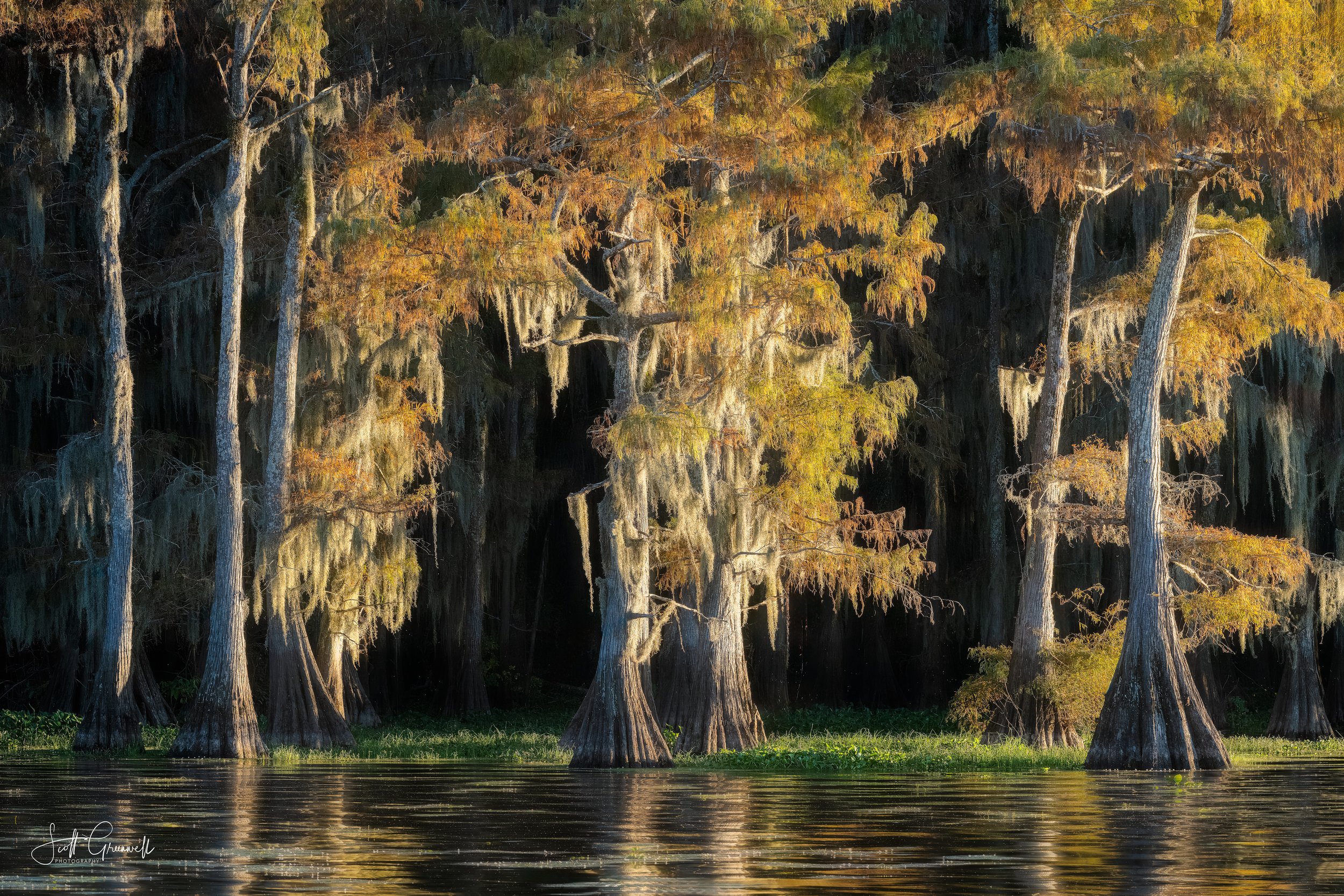 Caddo Lake Sunset 3 0503 Draped in Nature’s Glow.jpg