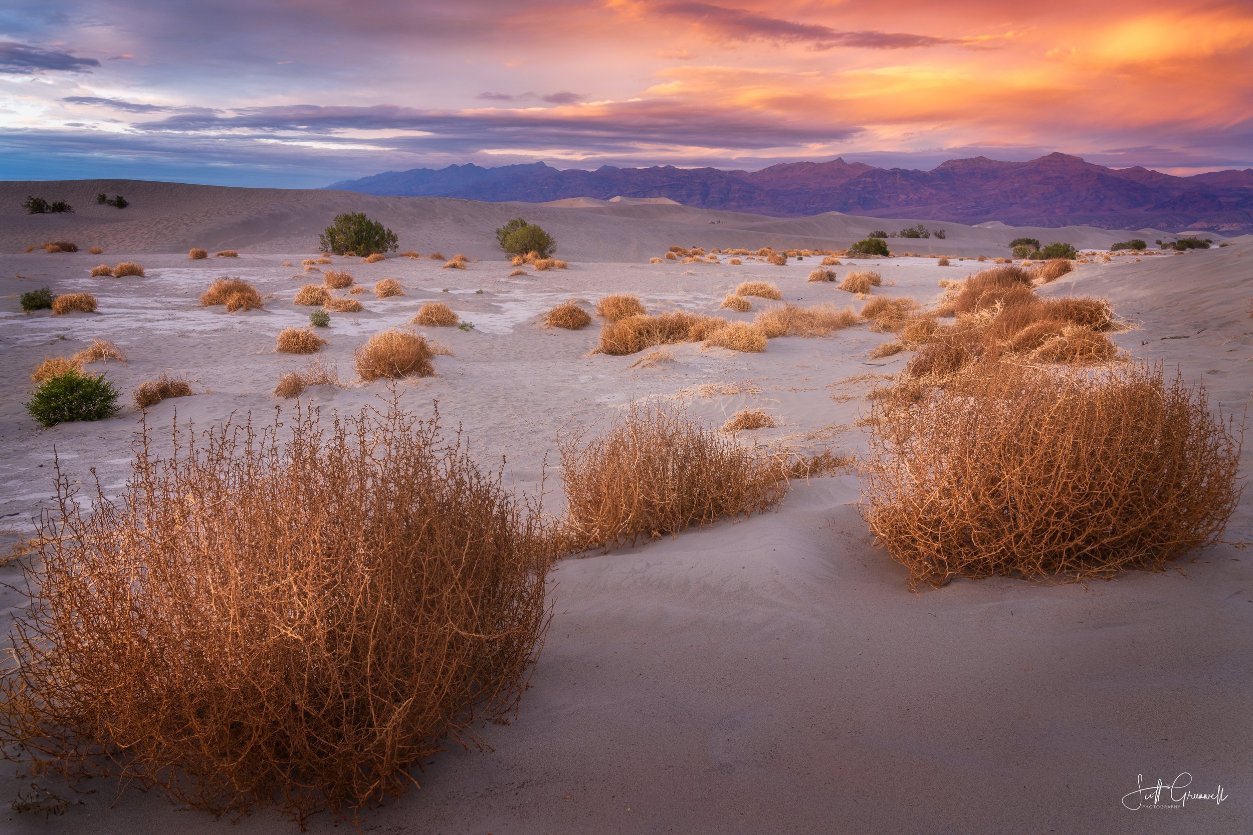 Mesquite Flat Dunes 0030 Fleeting Footsteps of the Wind.jpg