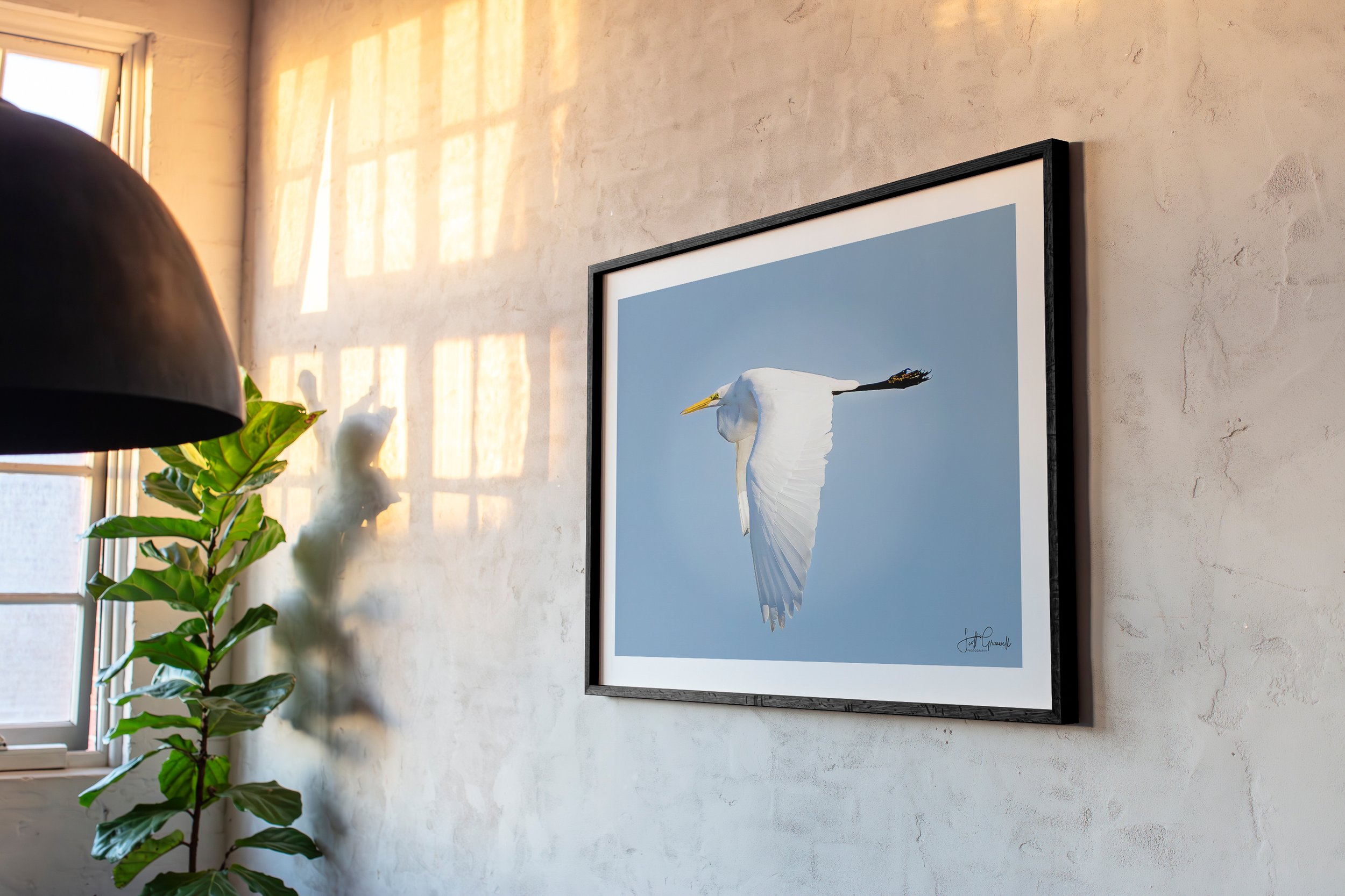HH102 - The Loft Collection - 3x2 Frame Ratio-Morning Splendor.jpg