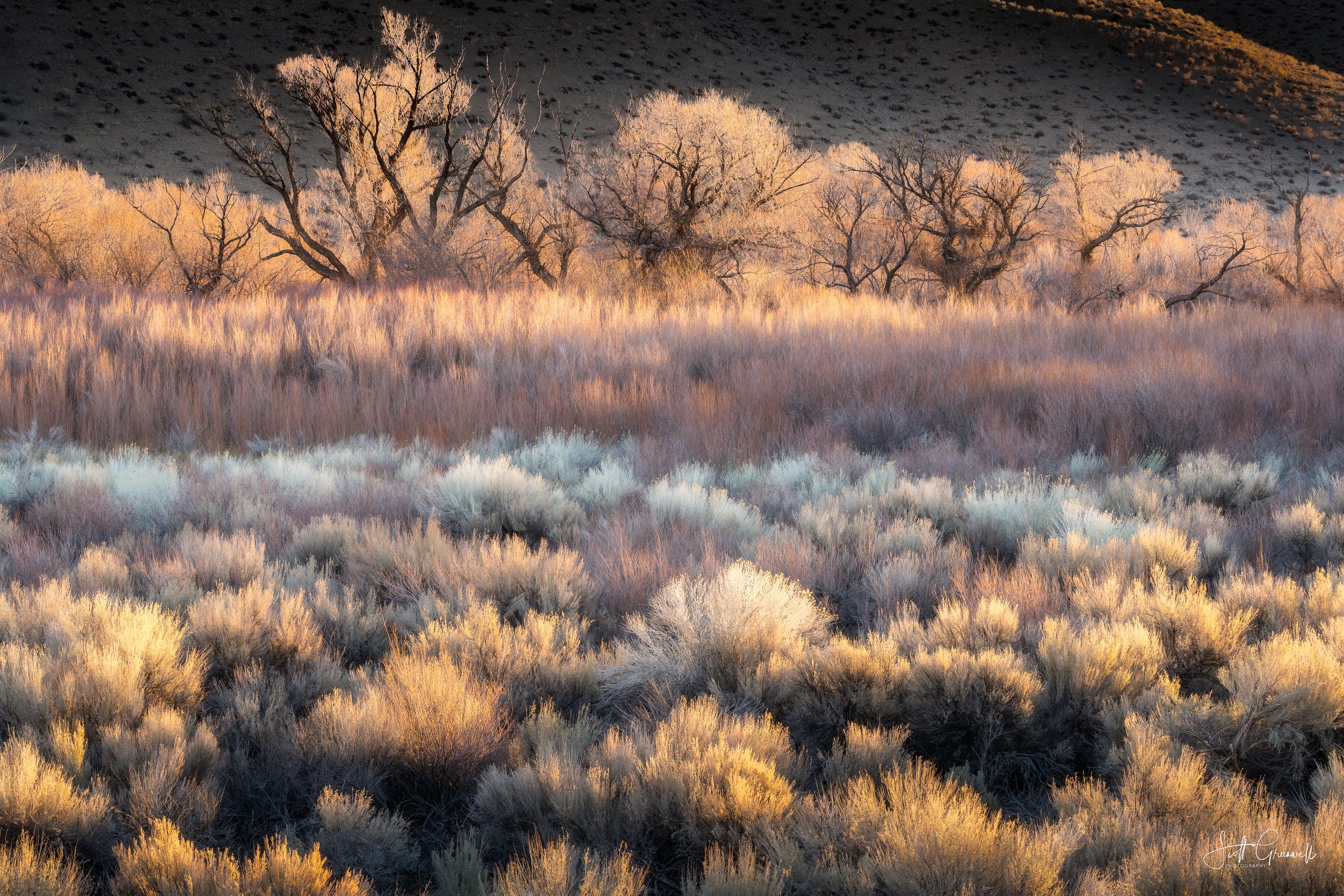 2021-03-01 09-41-53 Bishop CA Textures 0039.jpg