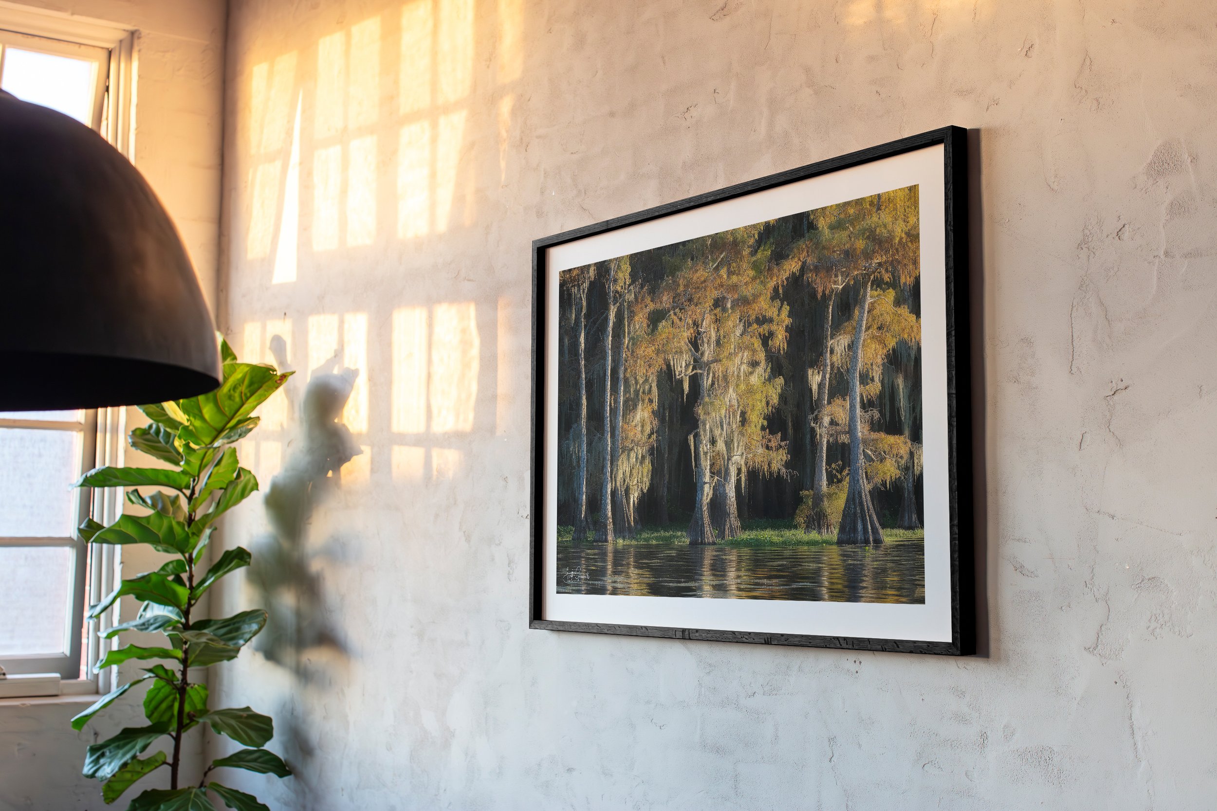 HH102 - The Loft Collection - 3x2 Frame Ratio-Draped in Nature’s Glow.jpg