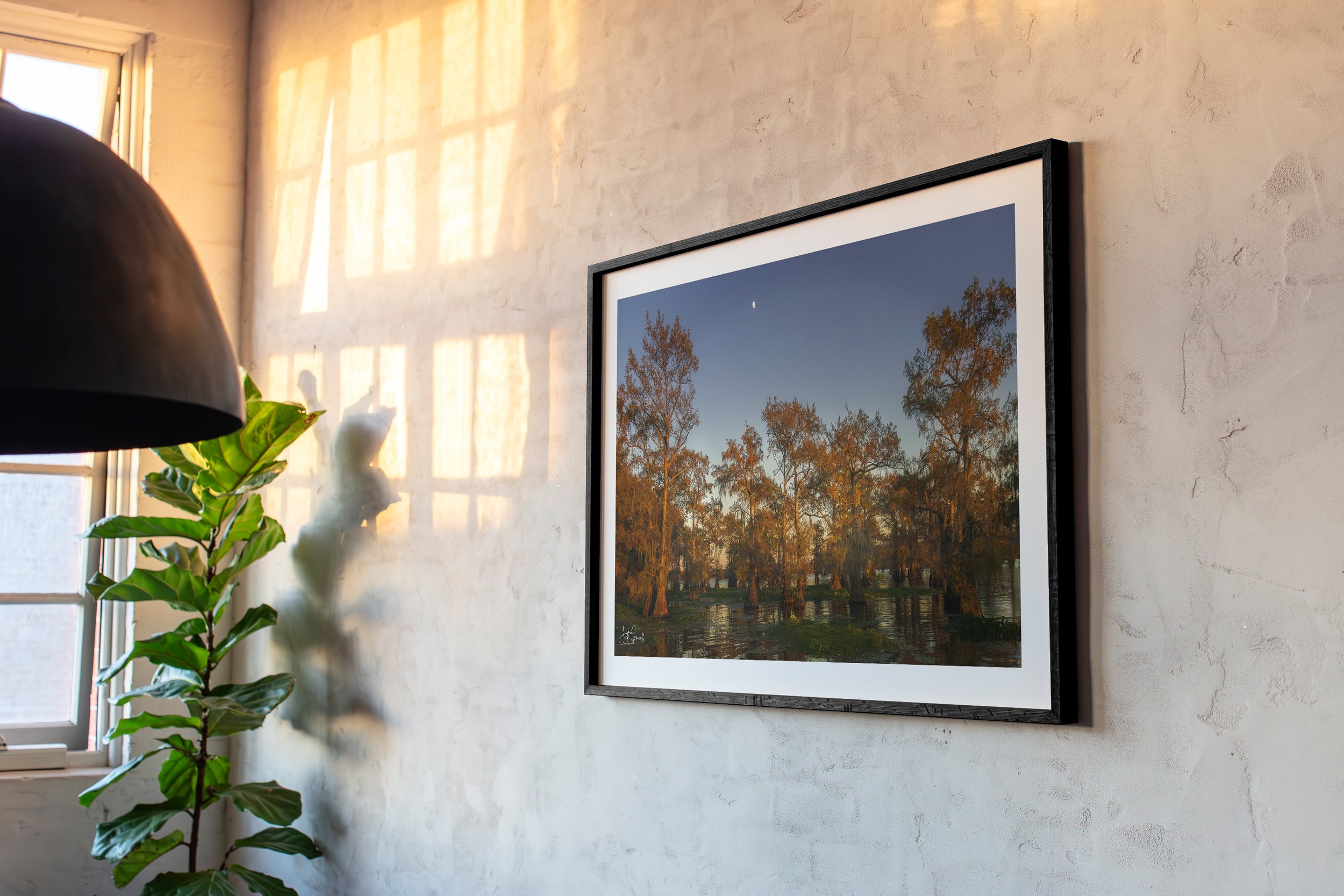 HH102 - The Loft Collection - 3x2 Frame Ratio-Cypress Elegance.jpg