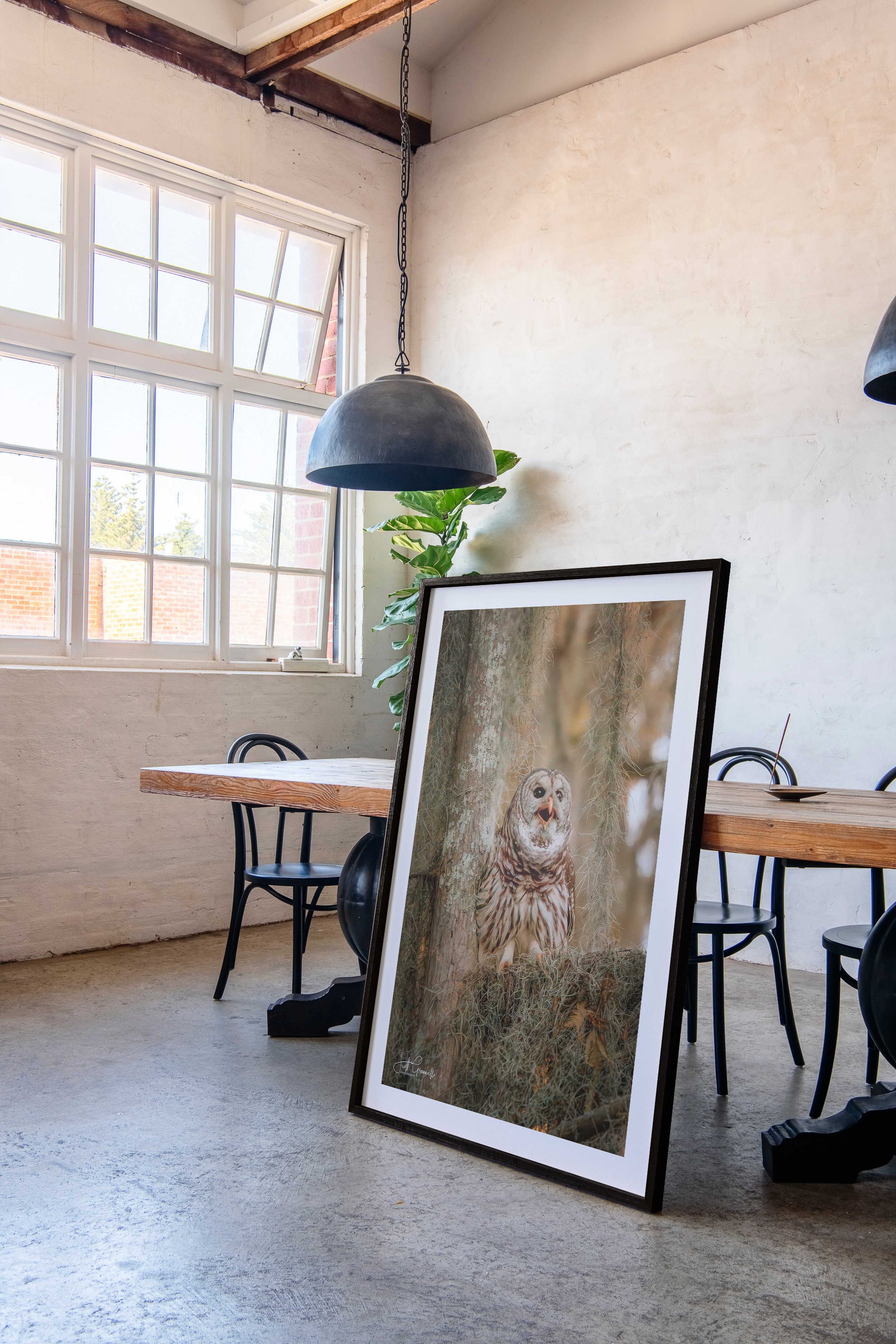 HH093 - The Loft Collection - 3x2 Frame Ratio-Burnished Glow.jpg