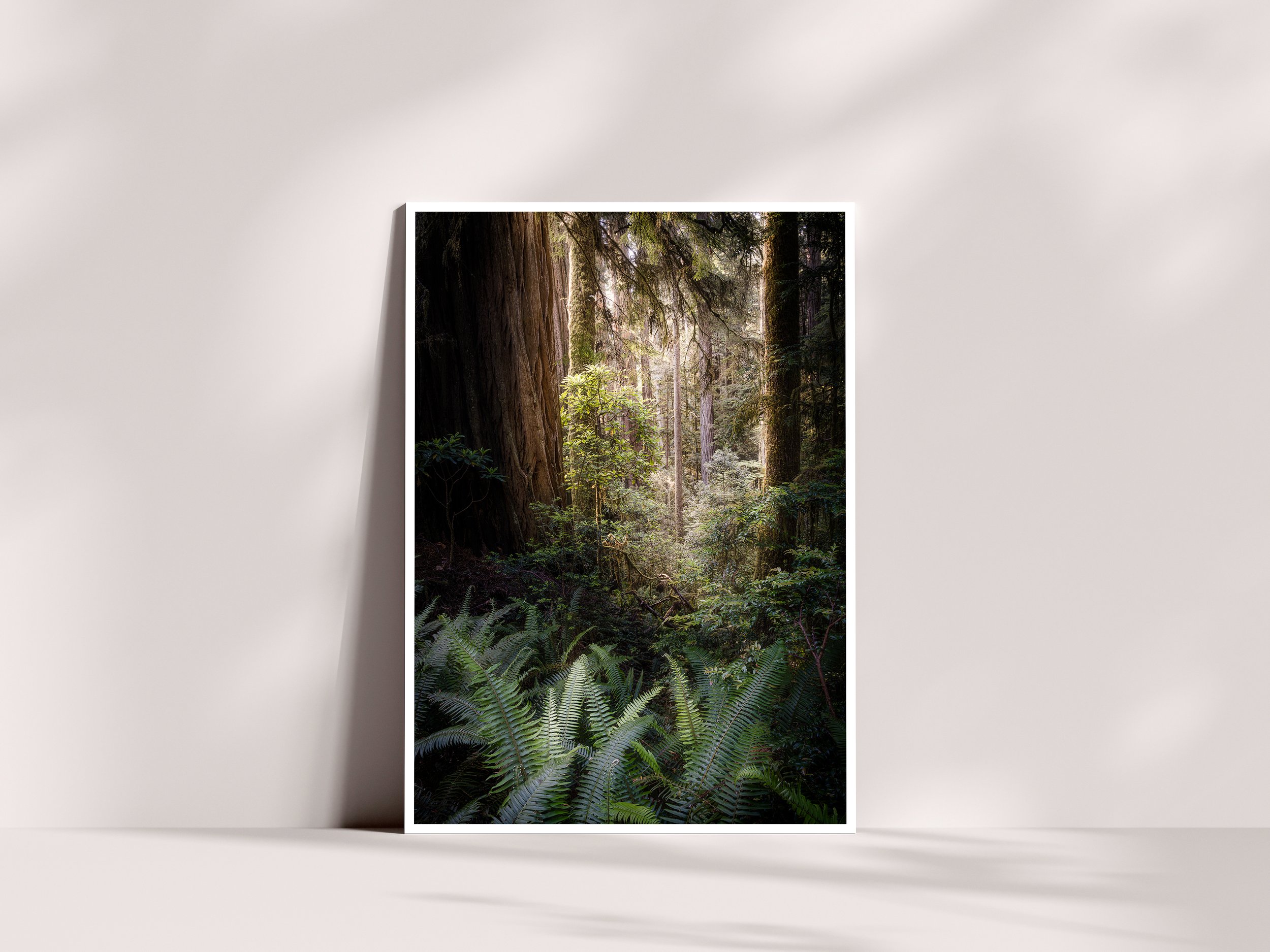 Boy Scout Tree Trail Notecard.jpg