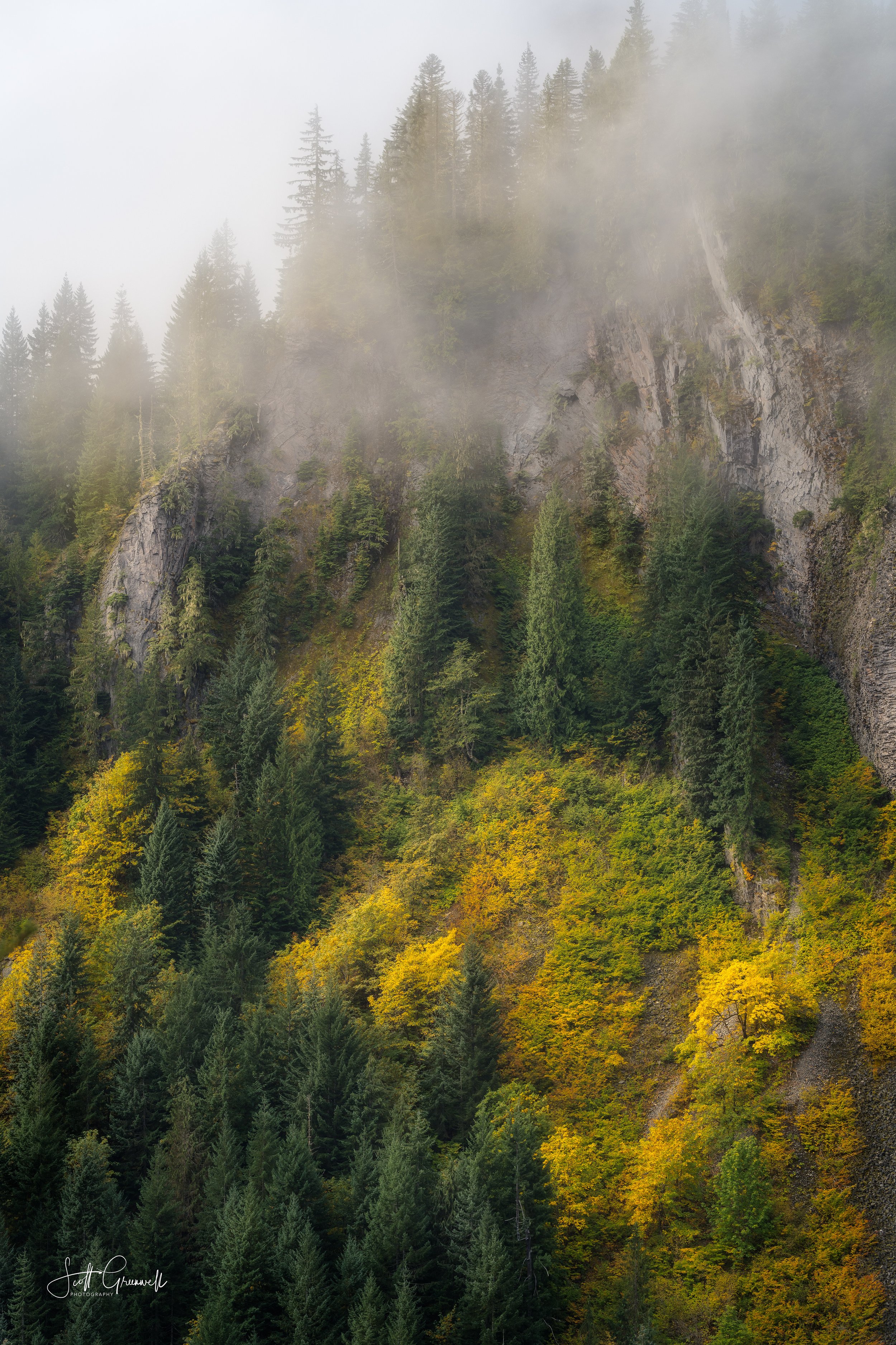 Mount Rainier National Park - Sunrise Restore 0137 Echoes of Autumn Light.jpg