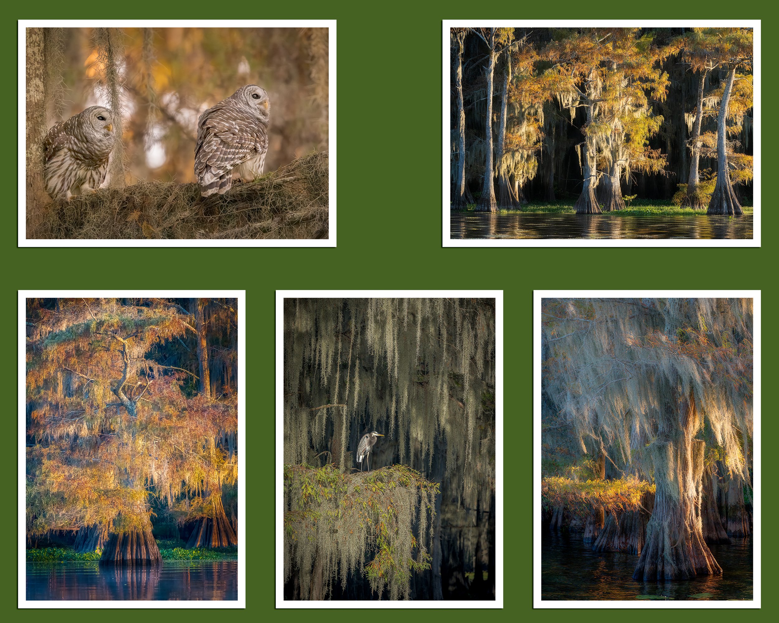 Caddo Lake Gift Set-sRGB.jpg