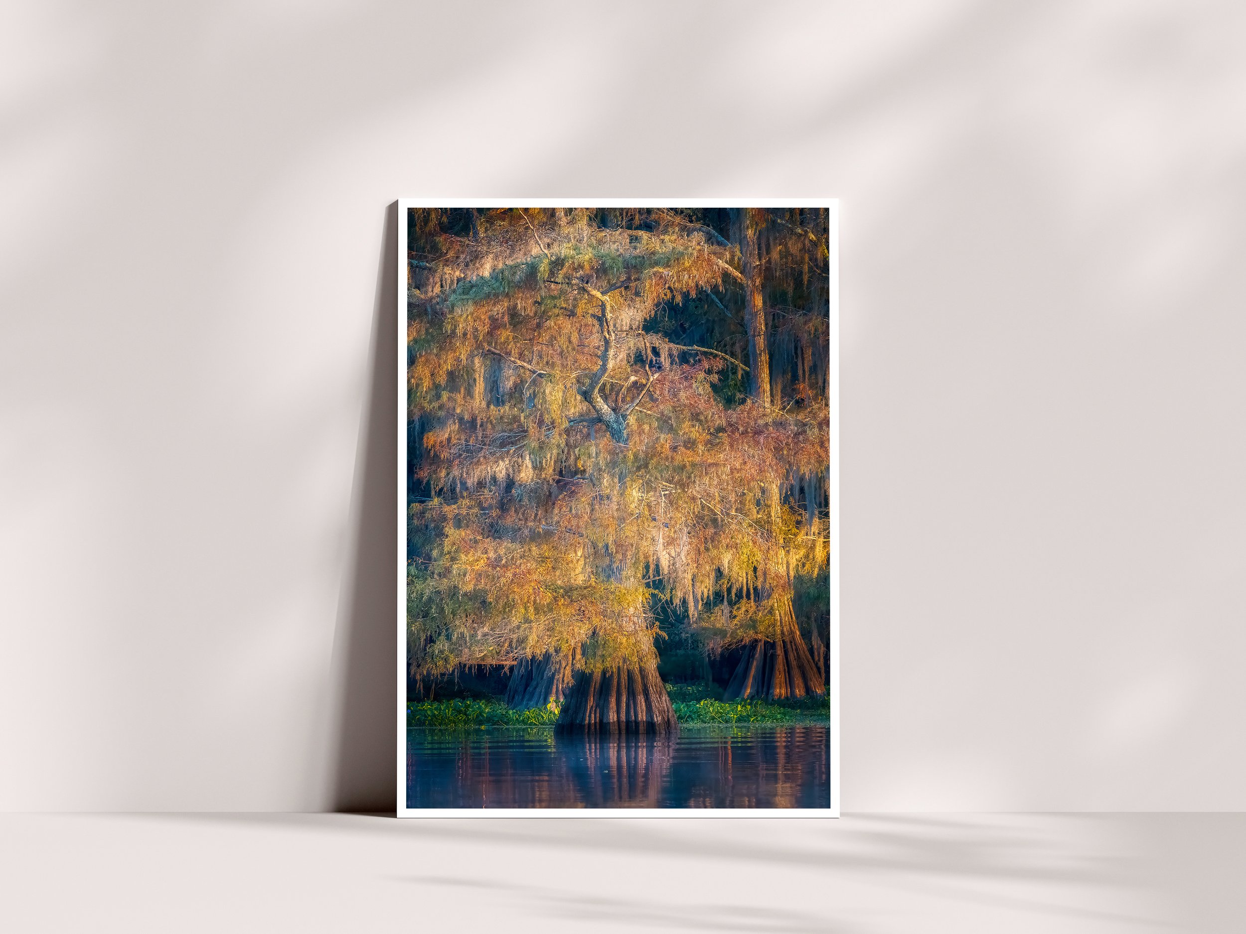 Caddo Portrait Tree.jpg
