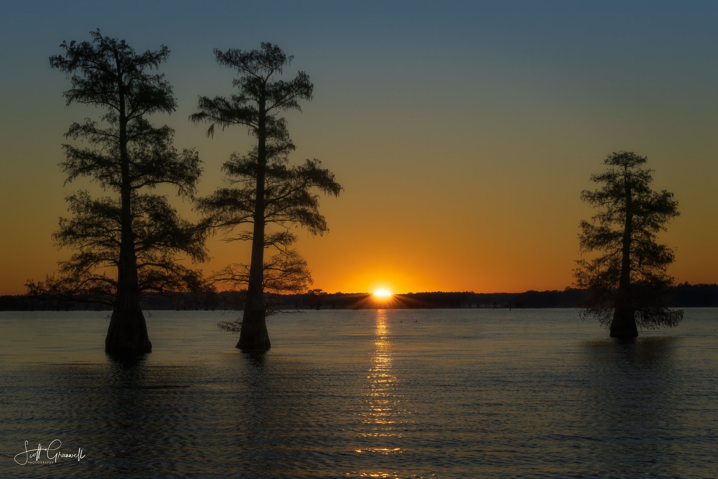 Caddo Lake Sunrise 2 0253 Stillness of the Trees.jpg
