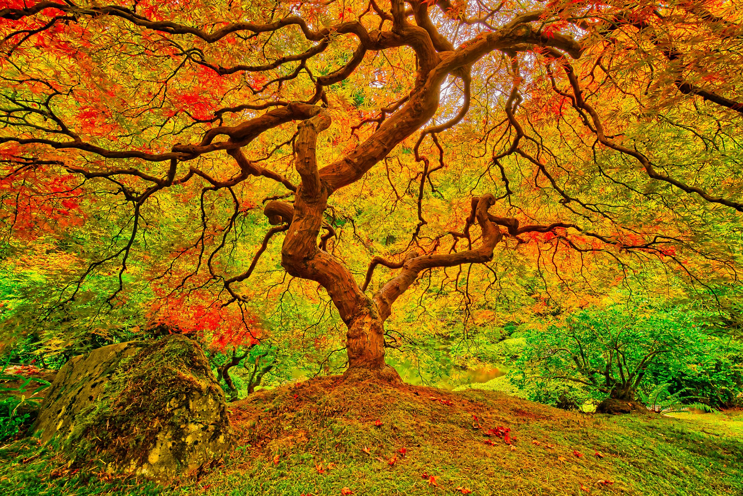 Portland Japanese Garden 0003 Heart of Her.jpg