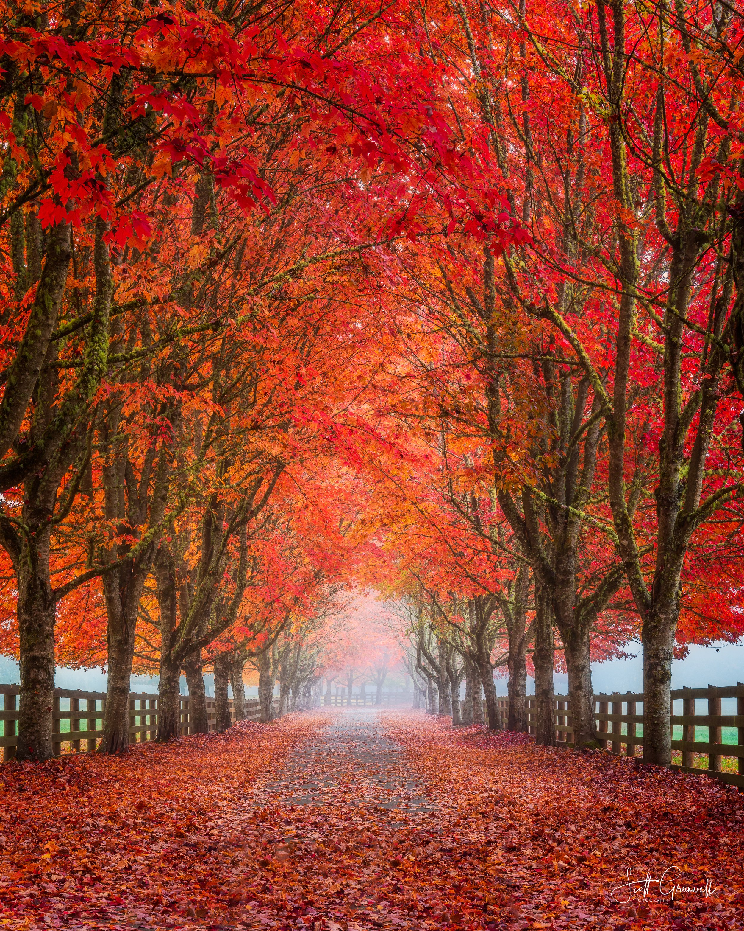 Rockwood Farm 0033 Crimson Passage.jpg