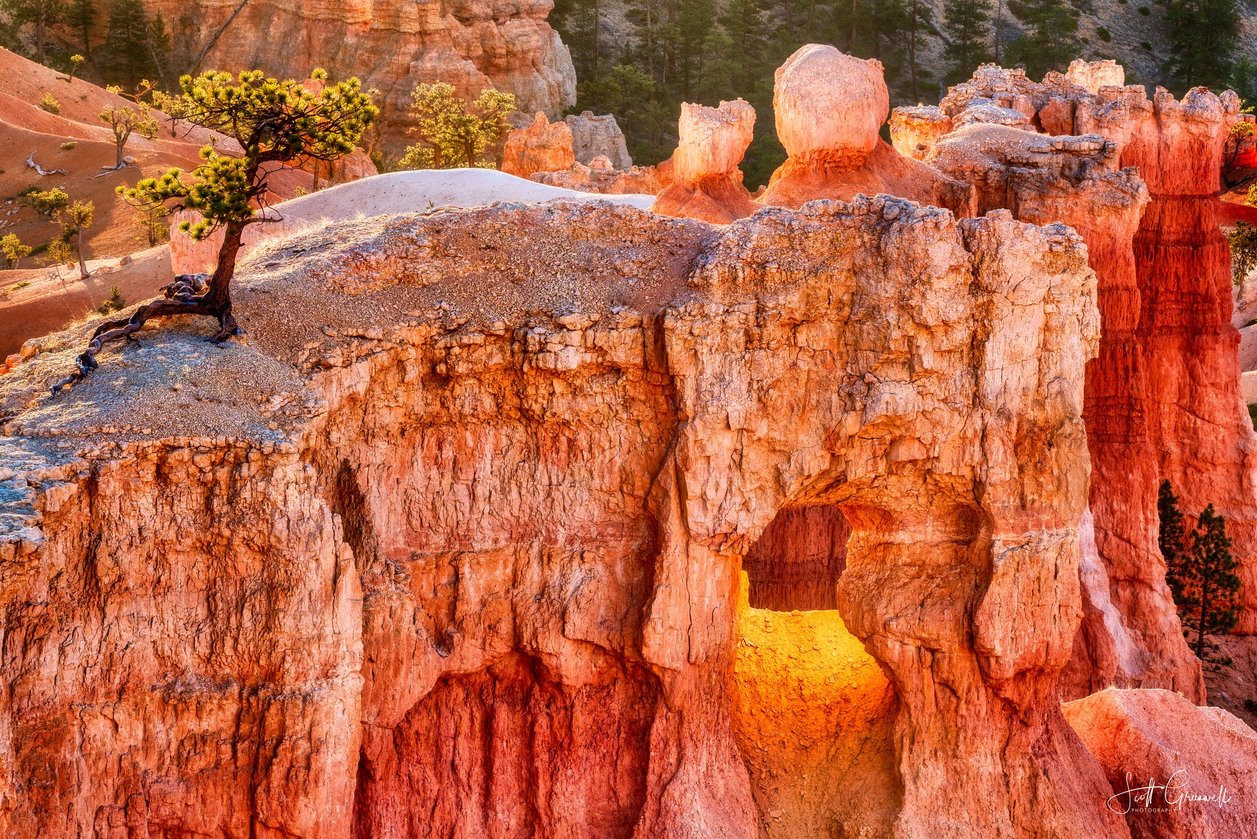 2018-11-05 09-17-56 Bryce Canyon Sunrise Point 0003_edit-Edit-Edit.jpg