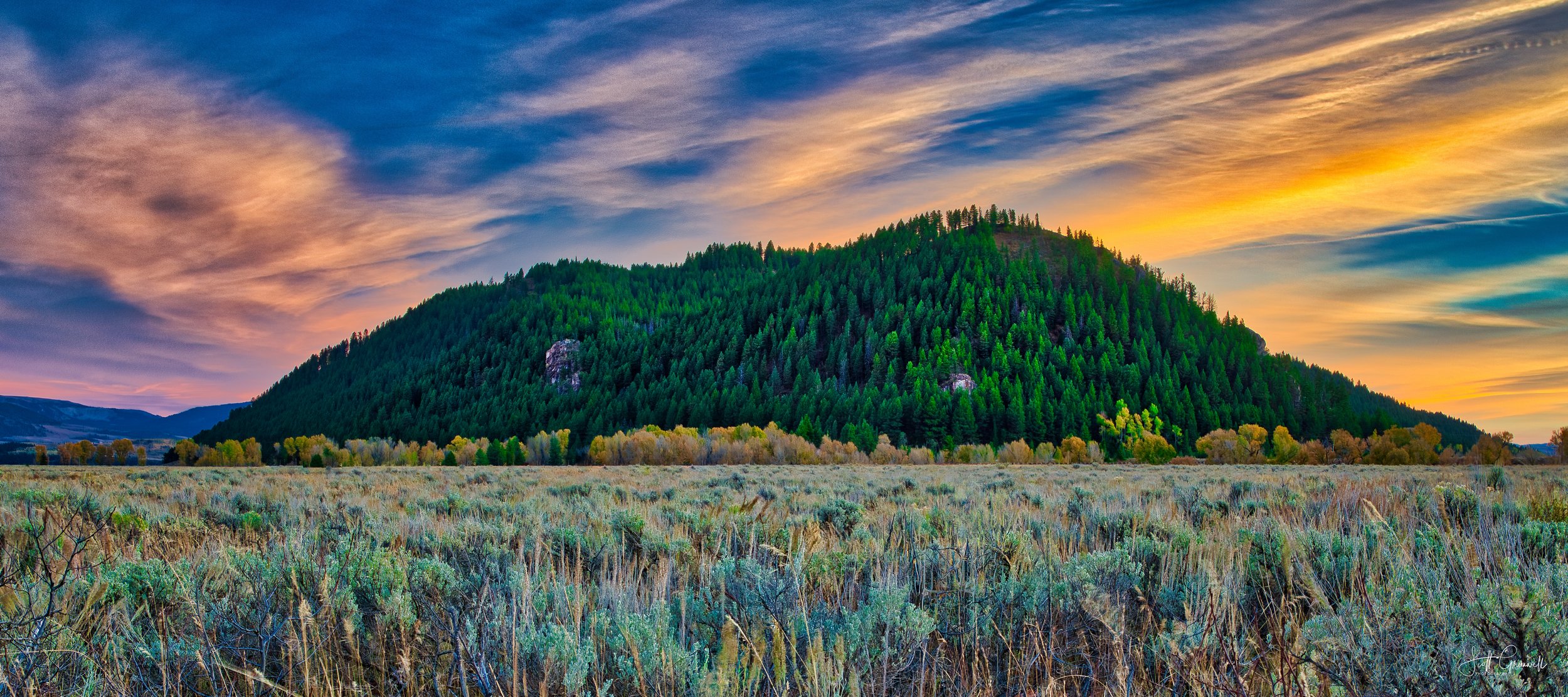 Grand Teton 102 Between Light and Land 1x2.25.jpg