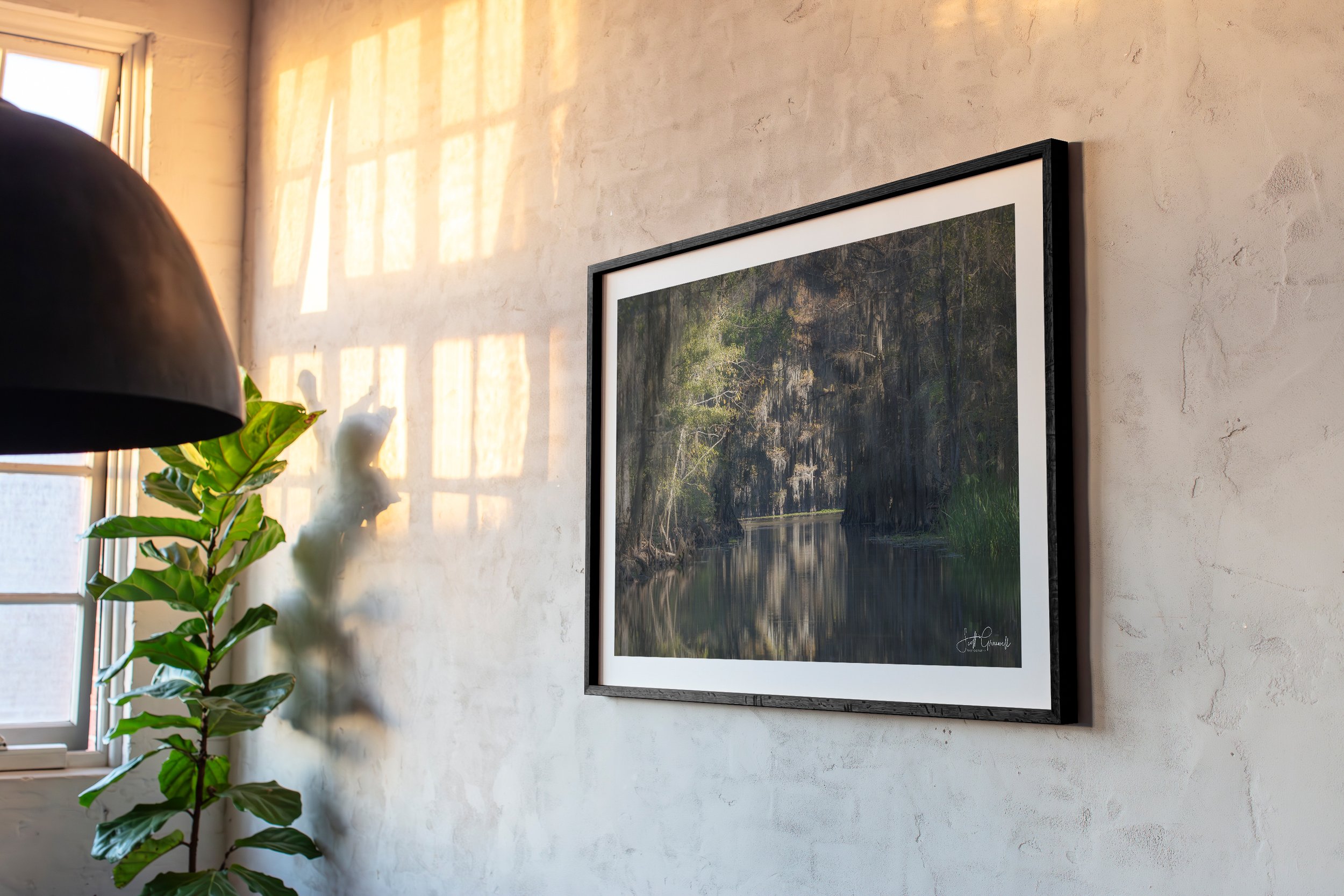 HH102 - The Loft Collection - 3x2 Frame Ratio-Nature’s Corridor.jpg