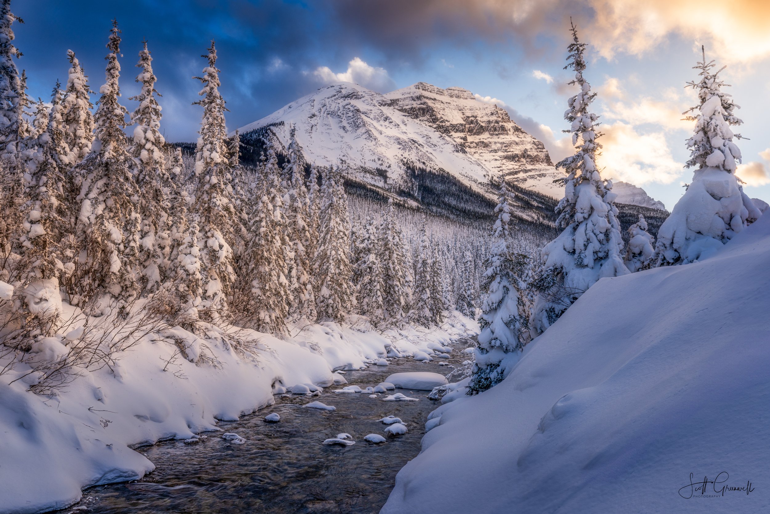 Frozen Serenity.jpg
