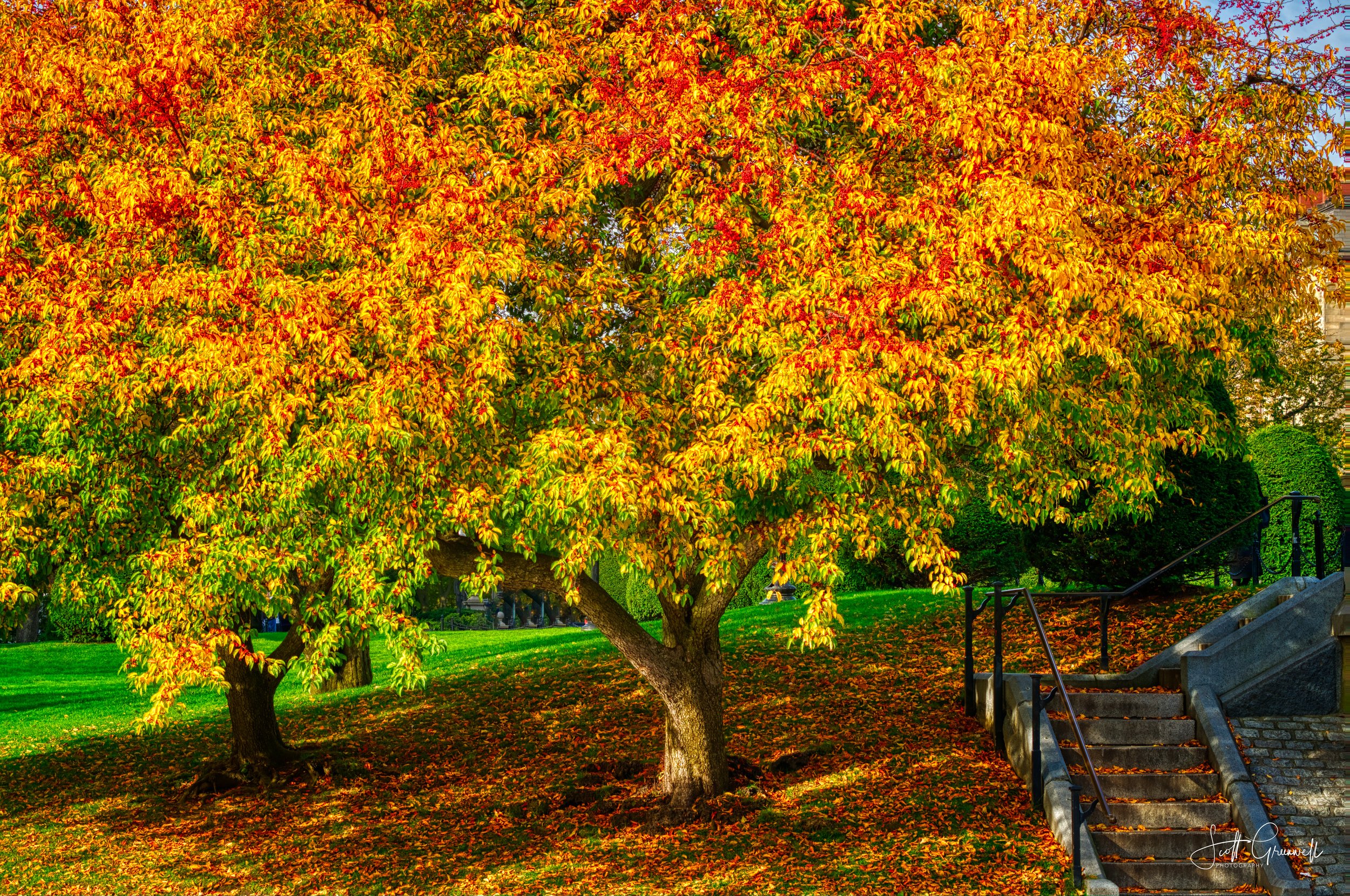 2019-10-25 09-26-30 Boston Fall Break 0190_edit-Edit-Edit.jpg