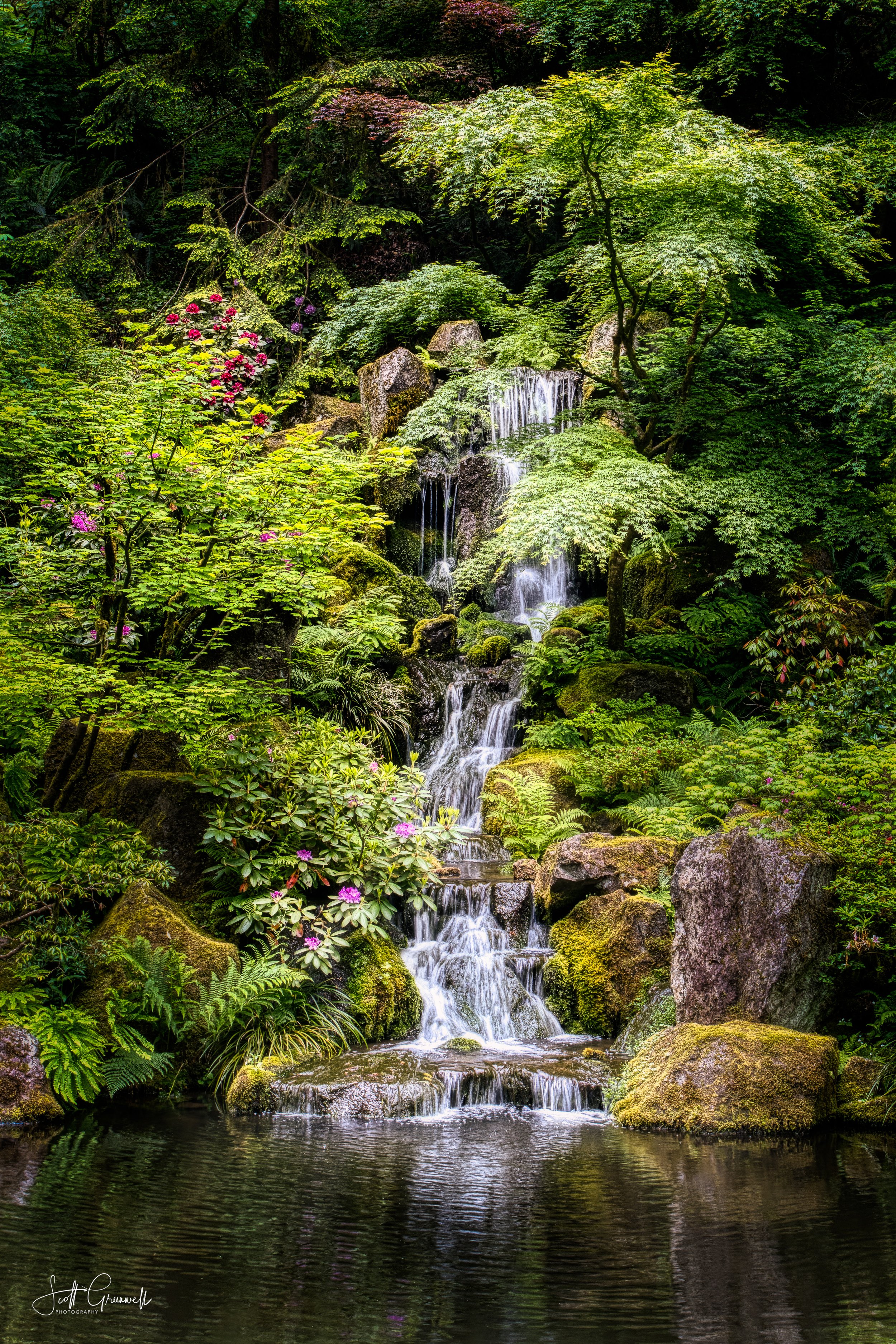 Portland Japanese Garden 0178 Cascade of Green Echoes.jpg