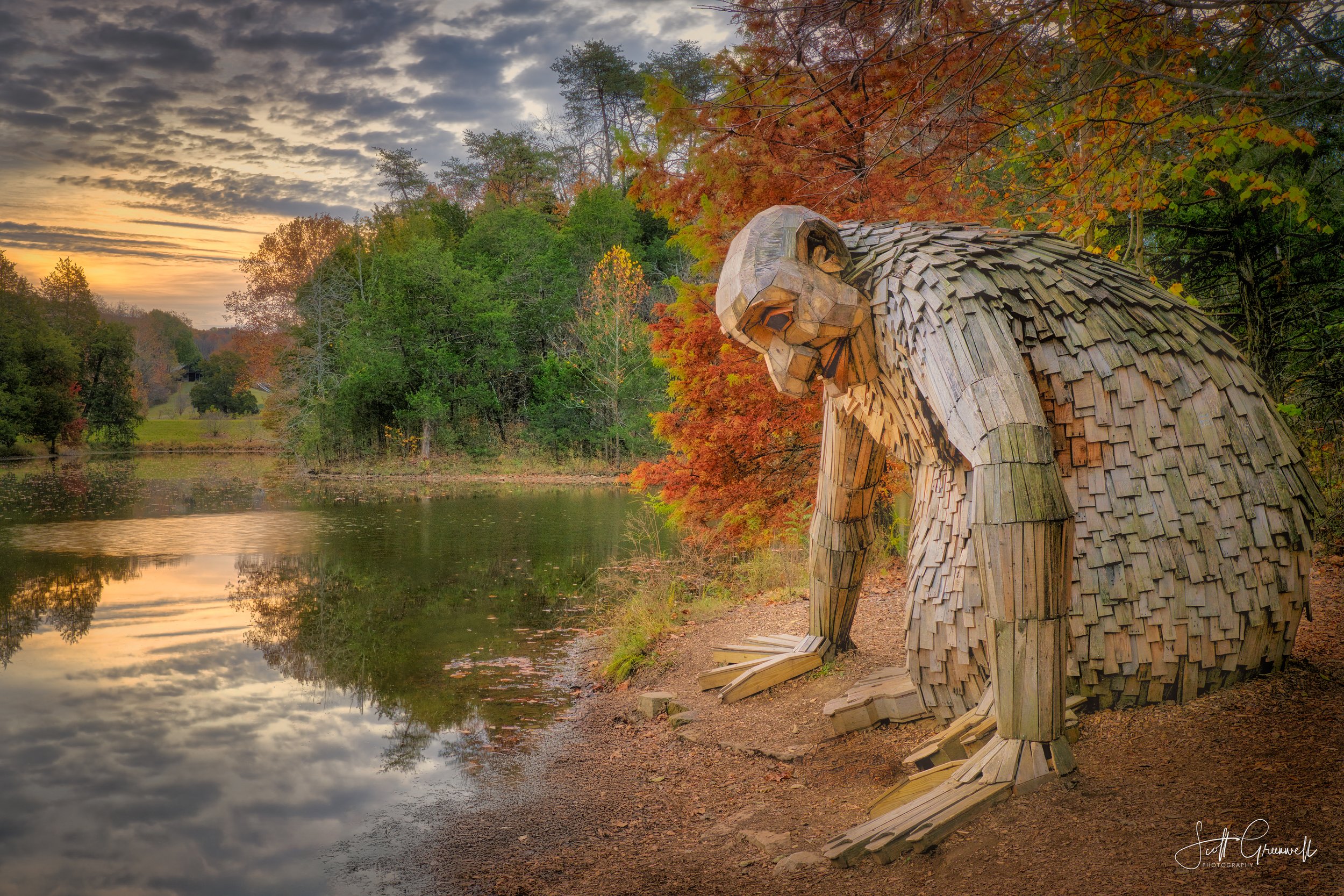 Bernheim Forest Fall Color 0079.jpg