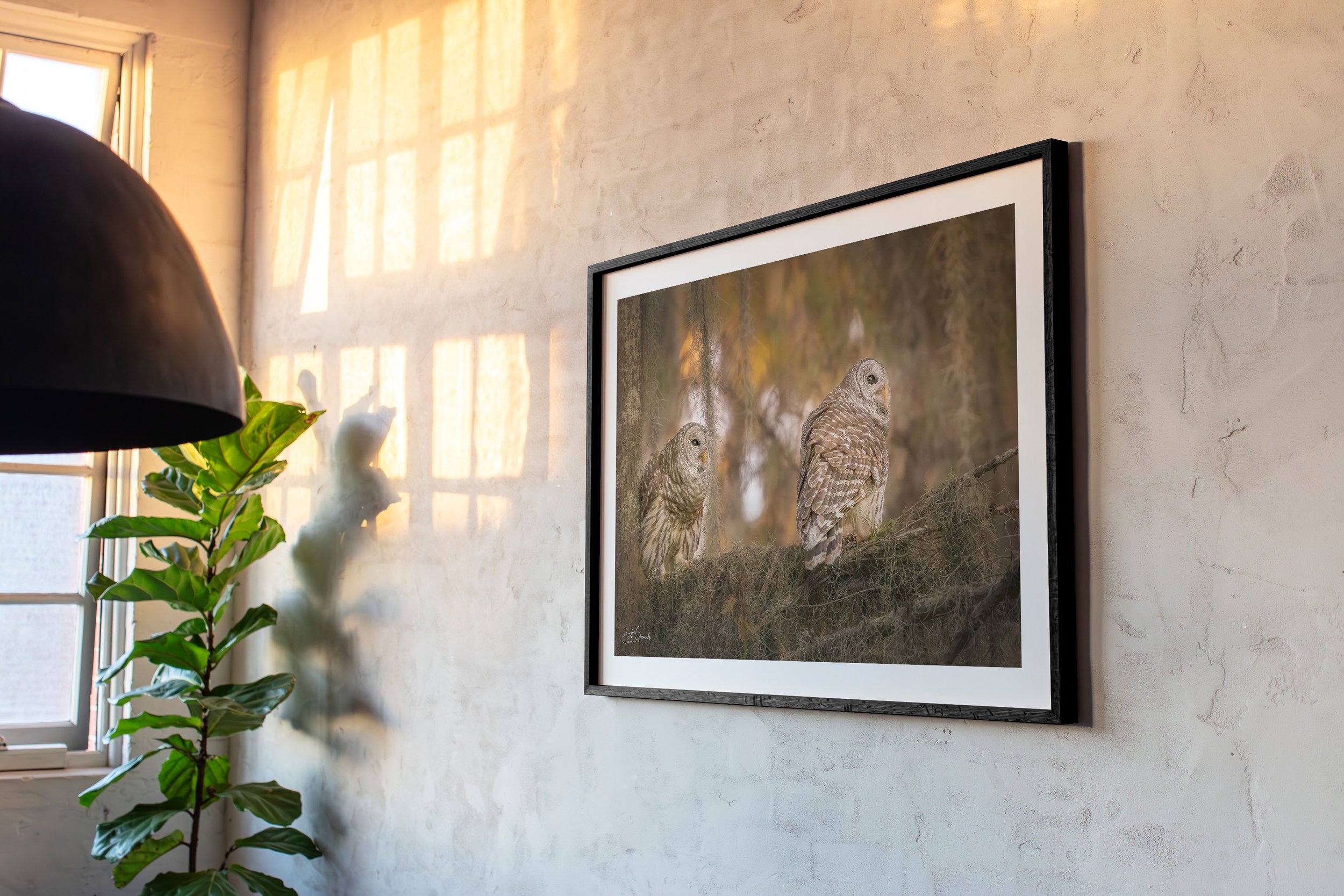 HH102 - The Loft Collection - 3x2 Frame Ratio-Timeless Depths.jpg