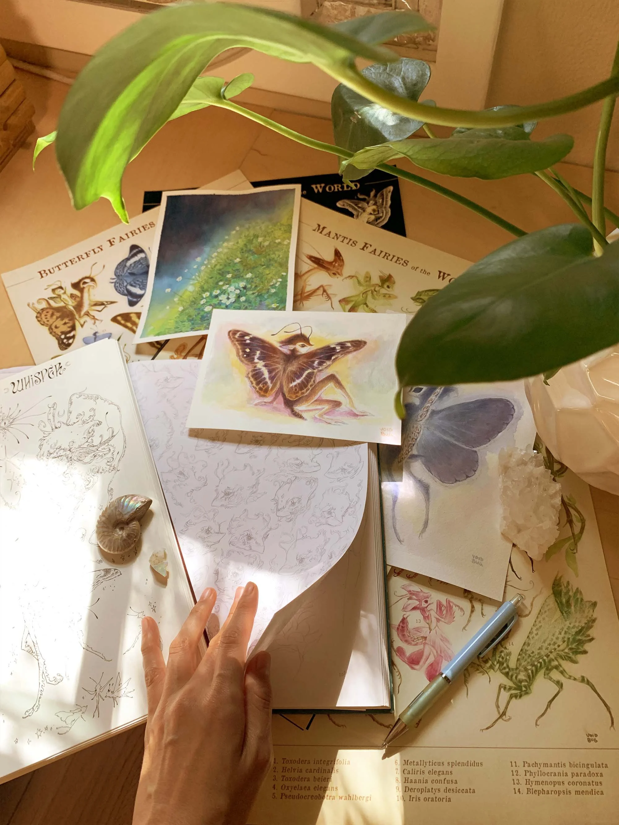 A collection of fairy-themed illustrations and sketches, including insect fairy drawings, paintings, a sketchbook all arranged on a wood desk with plants, and crystals with a hand lifting a page and a pen nearby.
