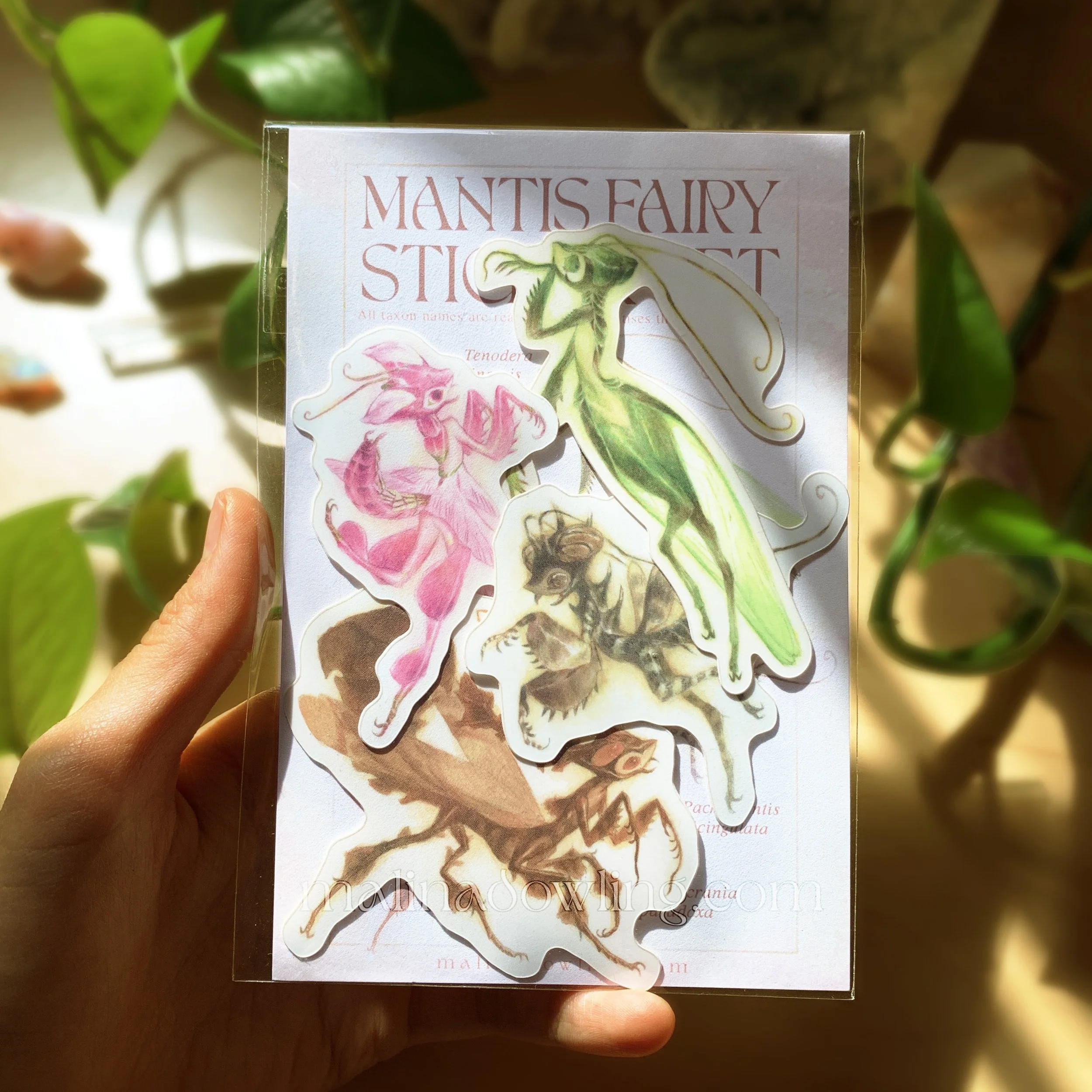 Mantis Fairy Sticker Set | 4 vinyl stickers | $15