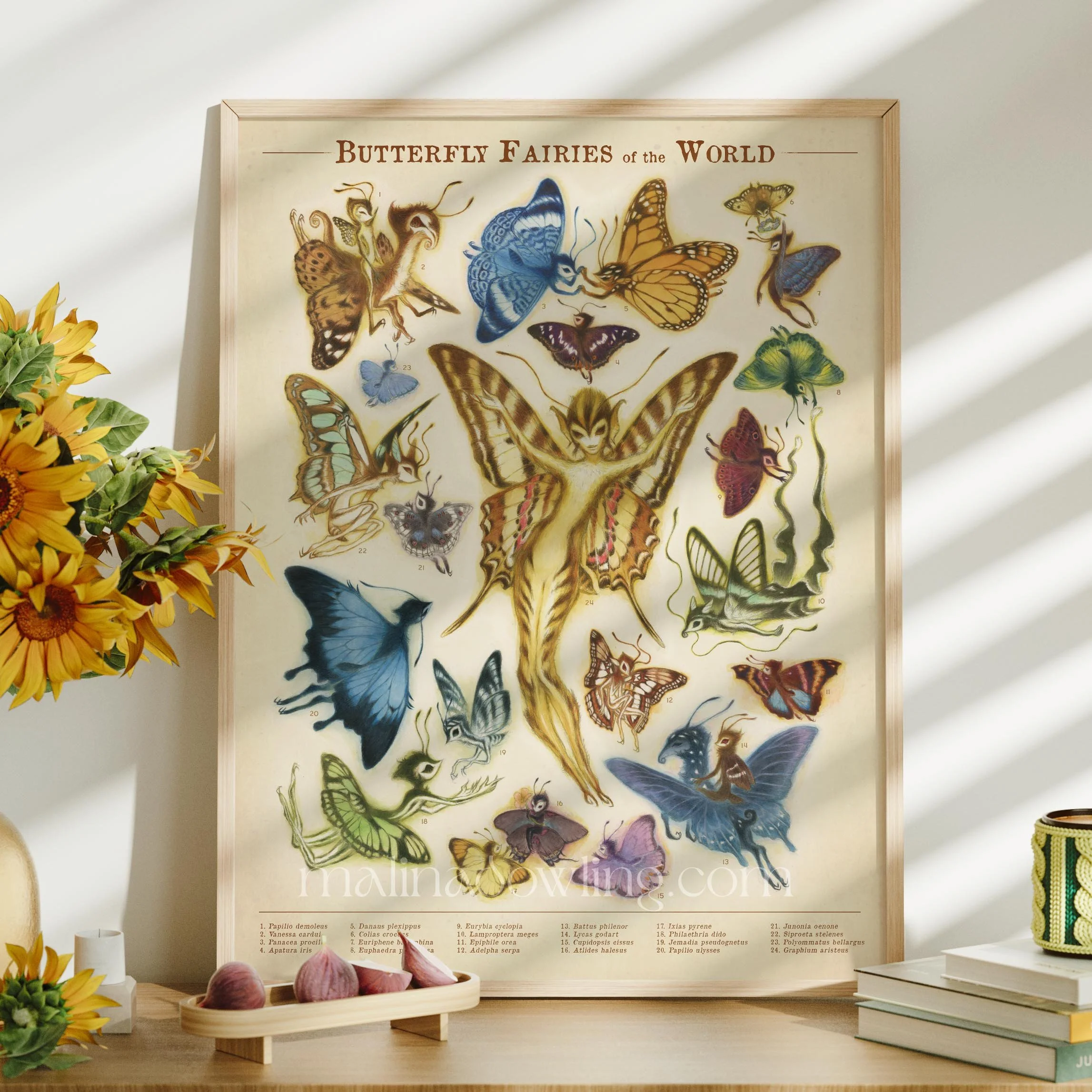 Butterfly Fairies of the World Poster | 18x24 | $45