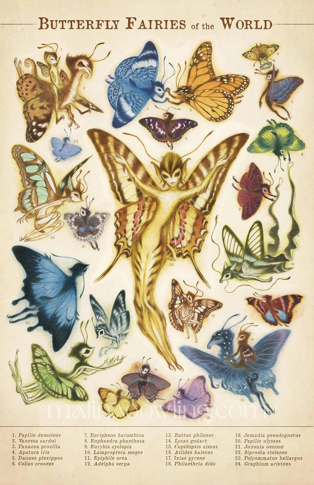 Butterfly Fairies of the World