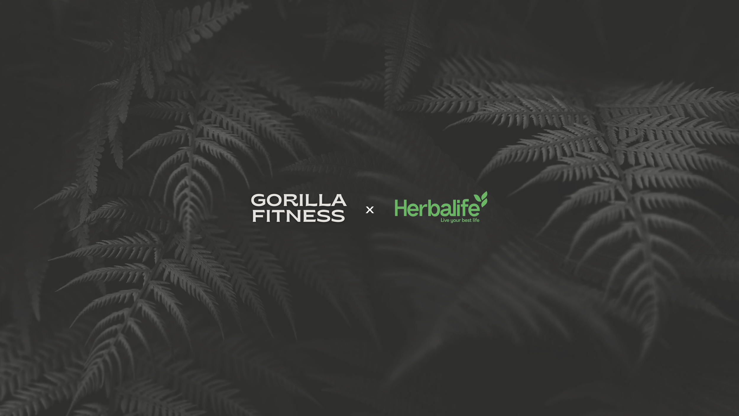 Gorilla Fitness x Herbalife - Tha Compound Fresno
