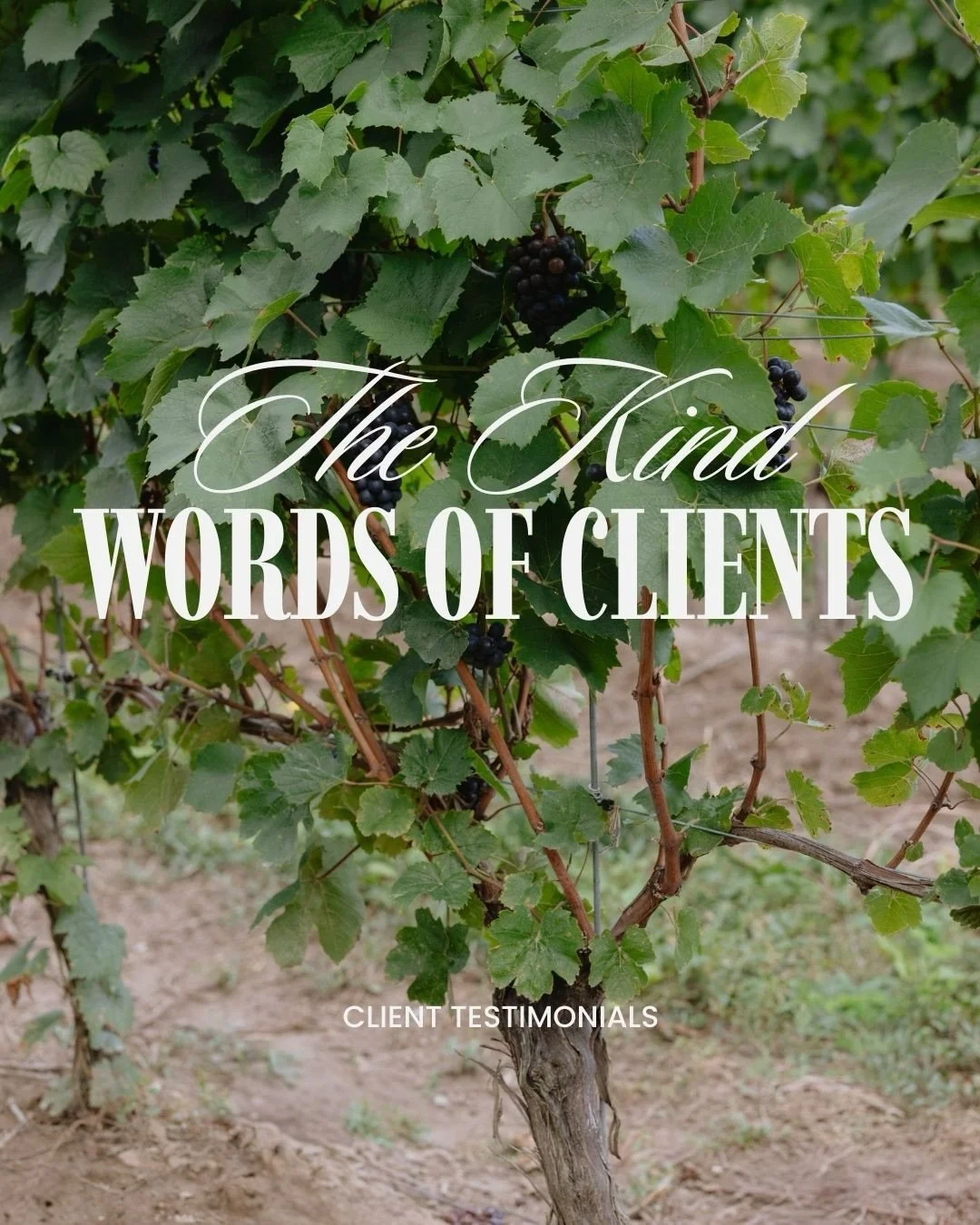 The kind words clients are saying💌 I&rsquo;m so grateful for all the incredible people I get to serve &amp; work with!!