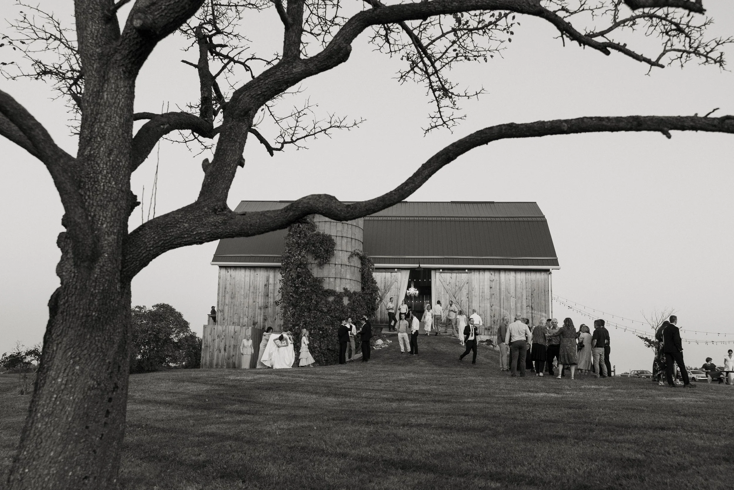niagara-vineyard-wedding-photographer-85.jpg